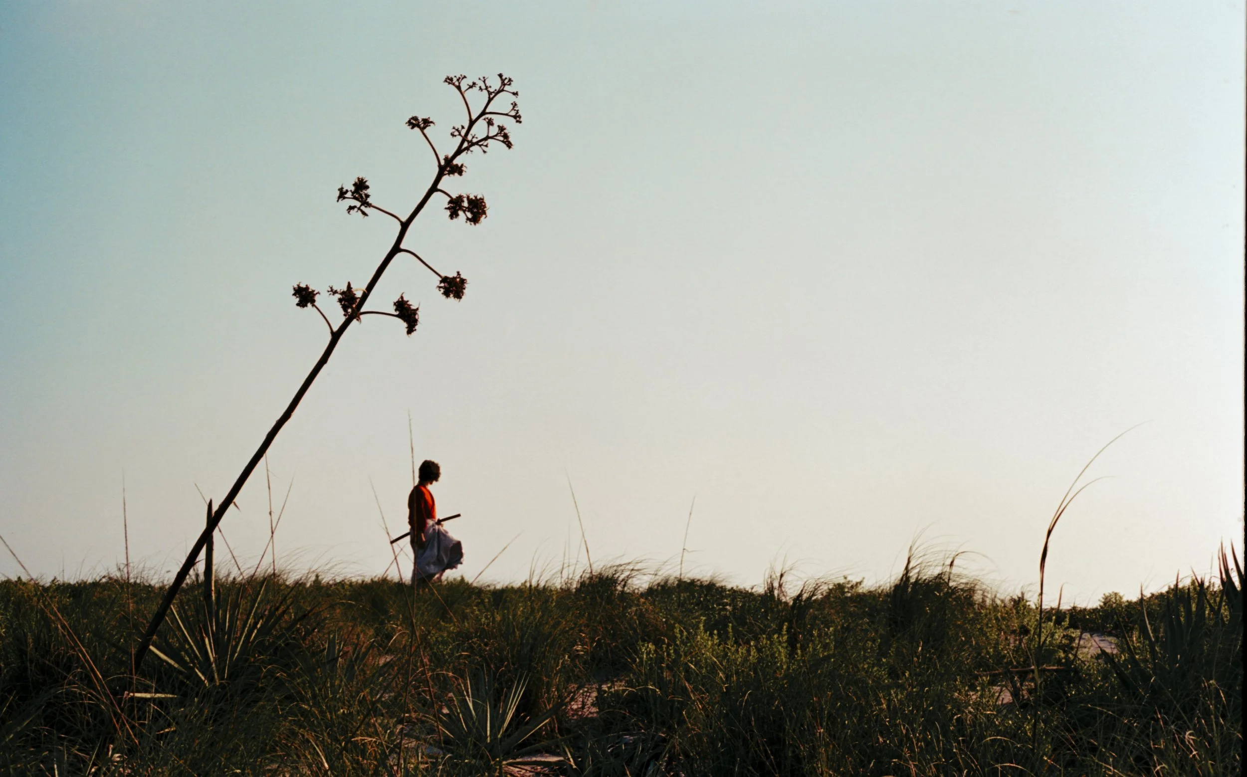 Taking it all in-2.jpg