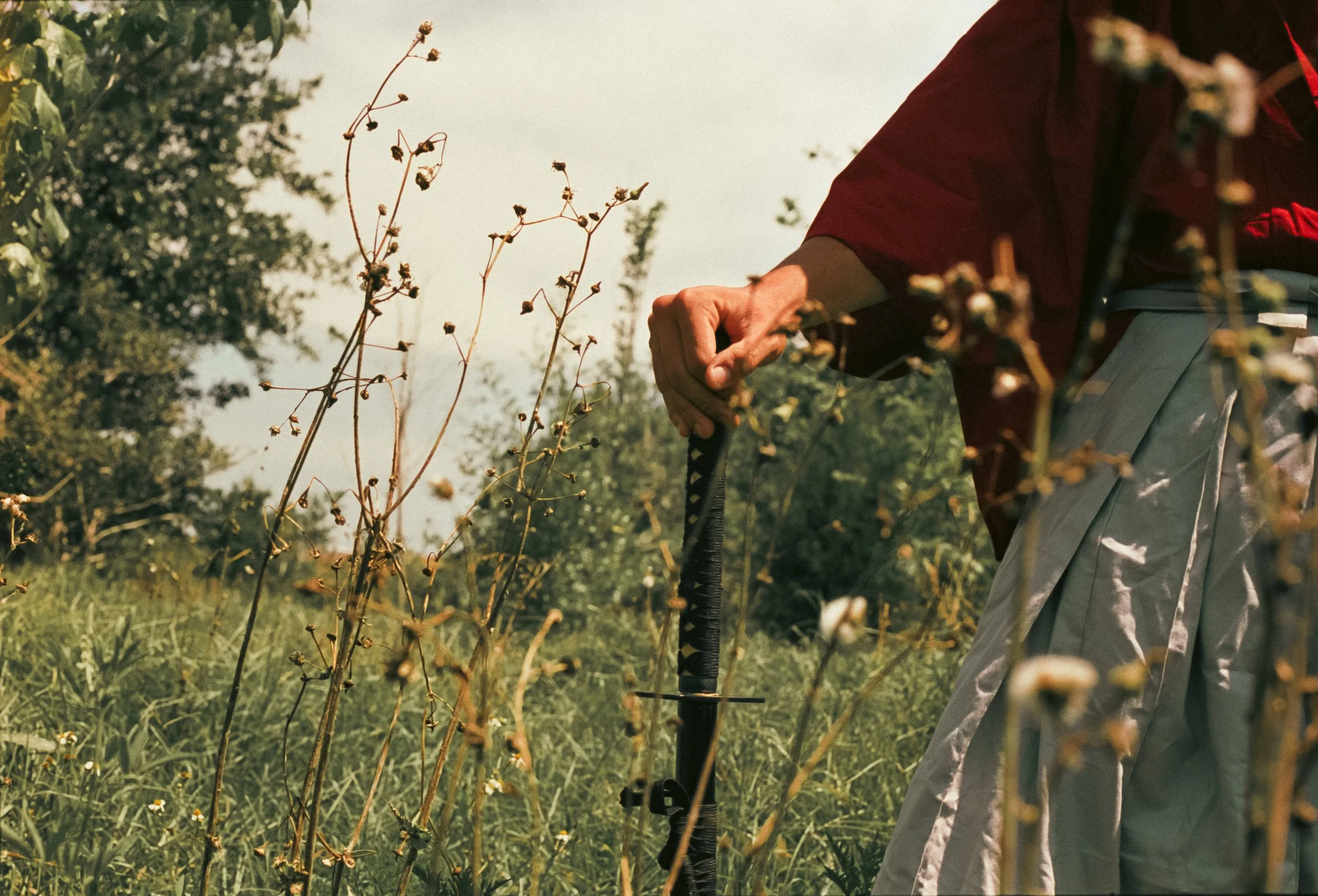 Taking it all in-7.jpg