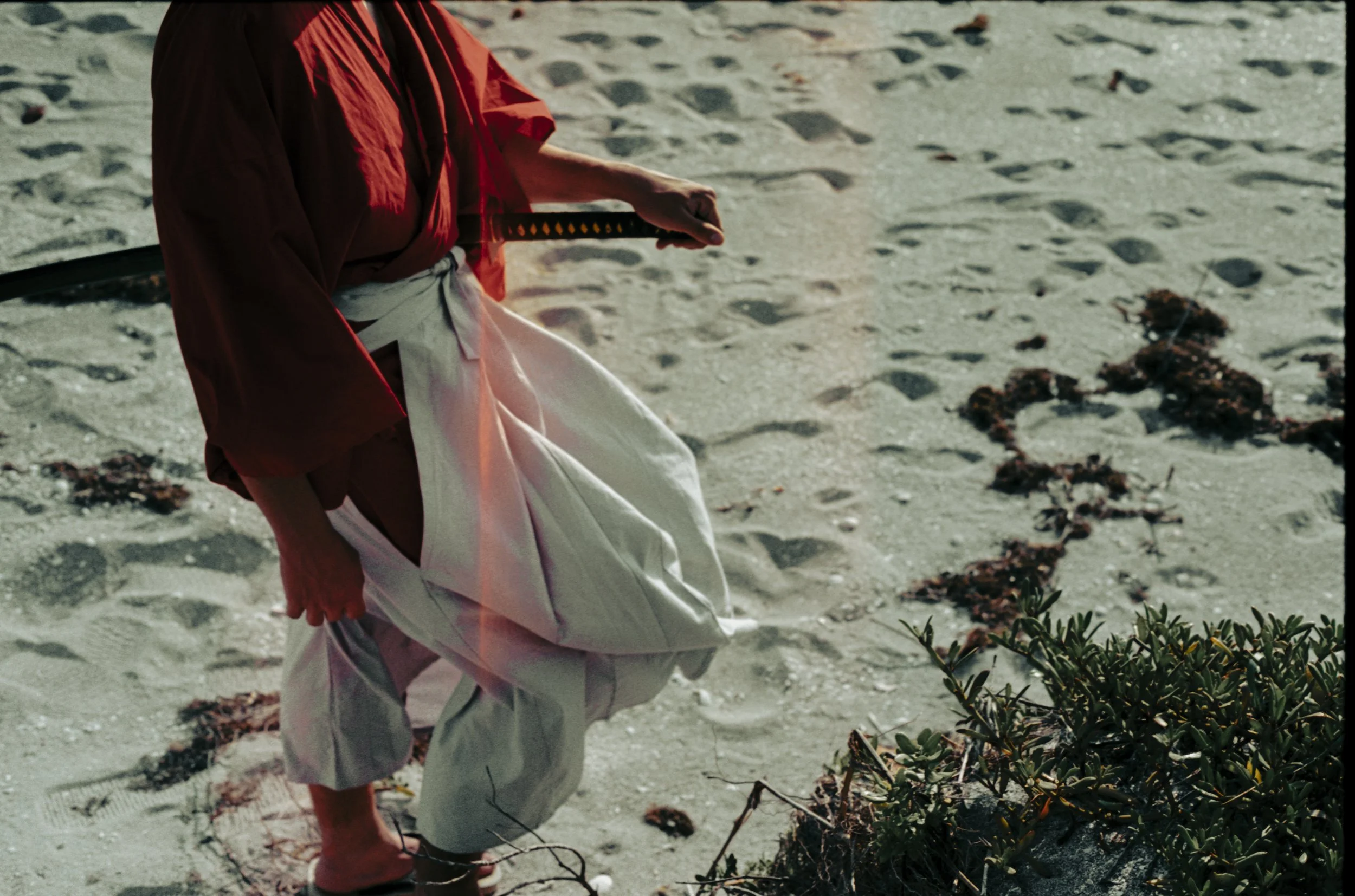 Taking it all in-3.jpg