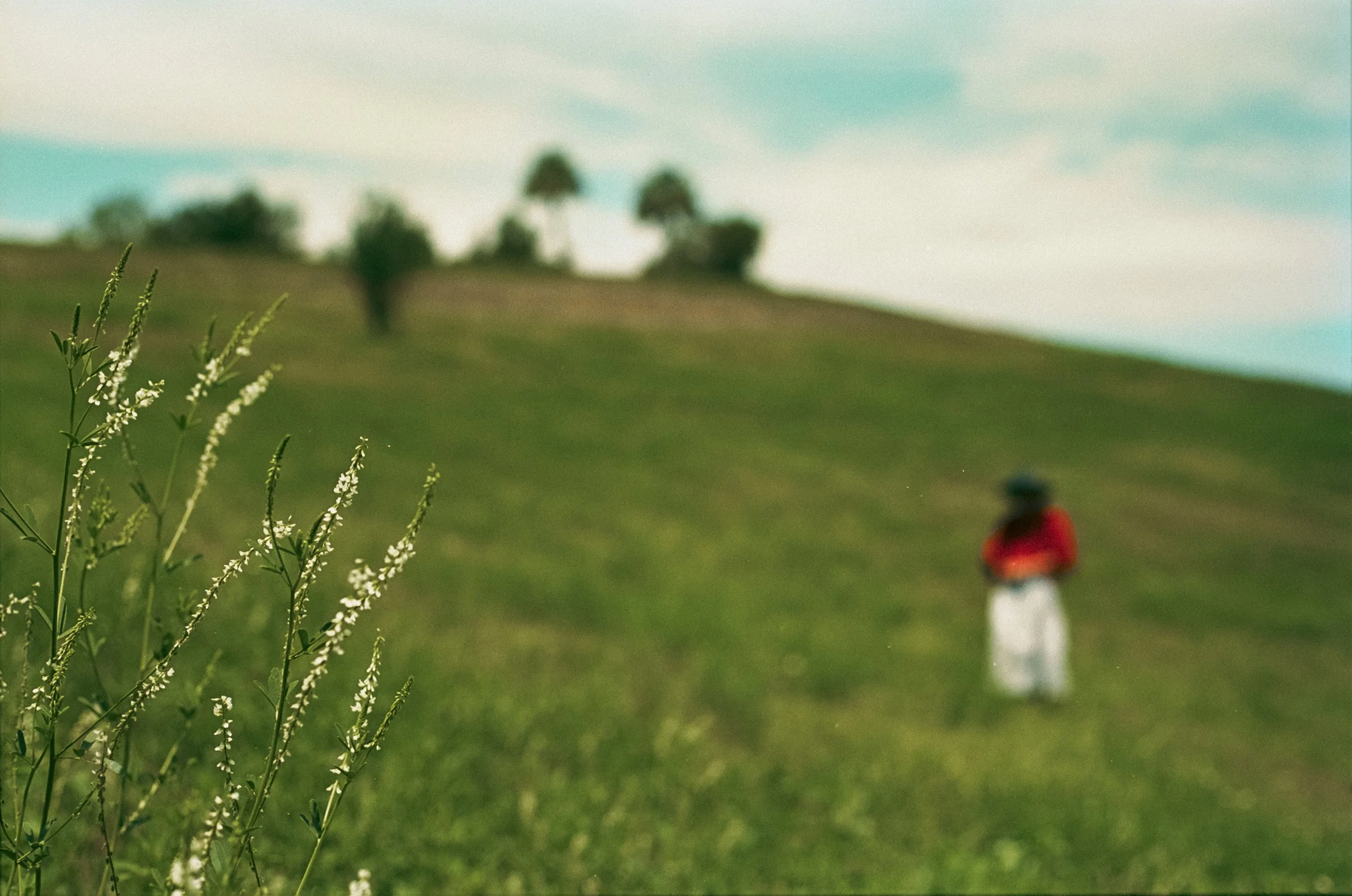 Taking it all in-8.jpg