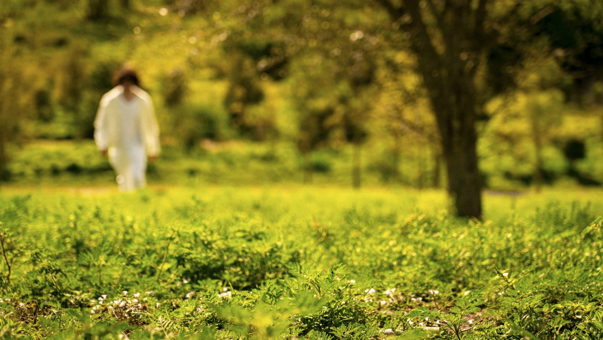 Persevere re-export-1.jpg