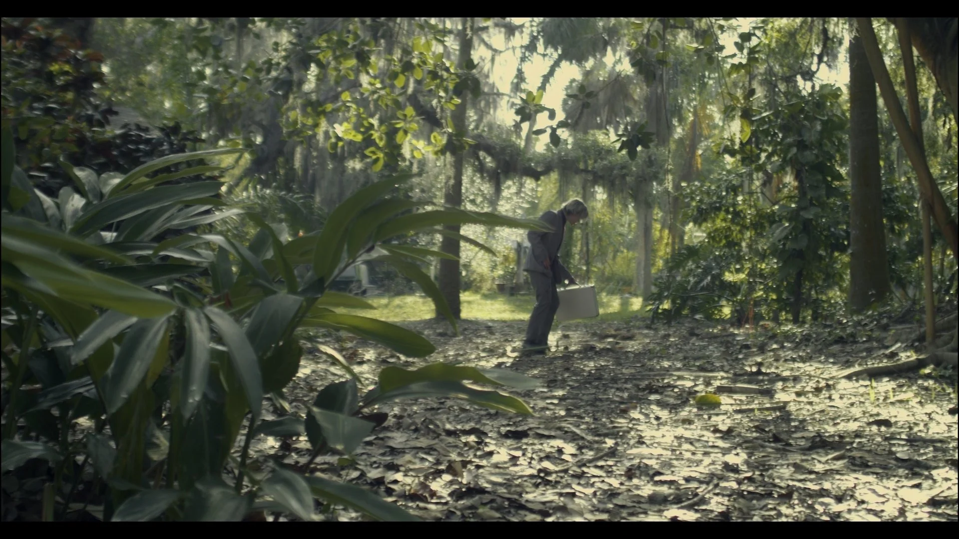 Still 2025-09-30 160722_1.2.1.jpg