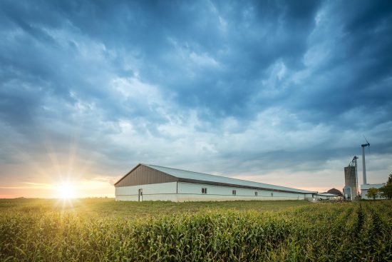 TOWARDS A PRACTICAL CLIMATE POLICY – OPPORTUNITIES FOR AN ENVIRONMENTAL CONSENSUS?