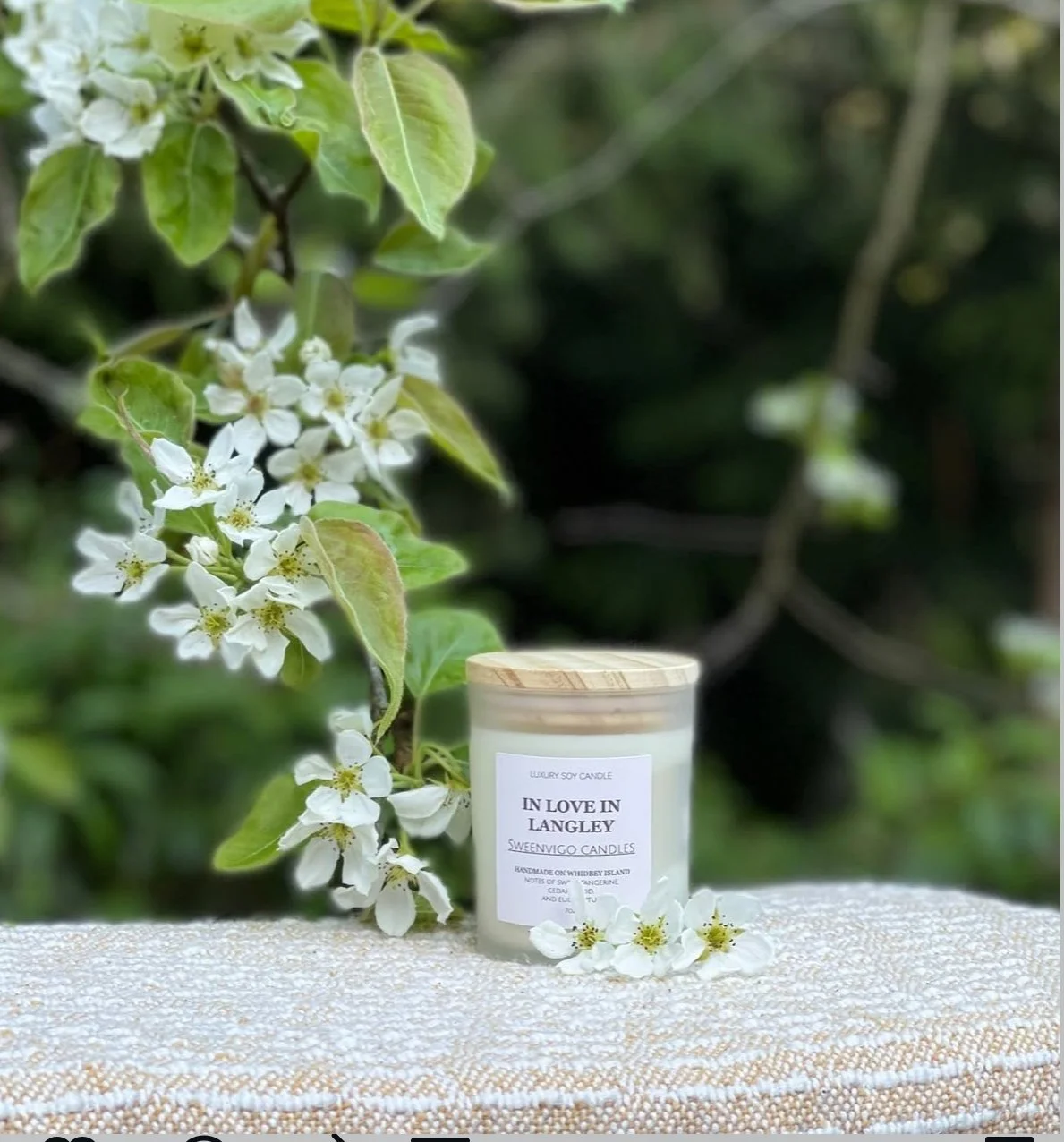 old love in langley.jpg