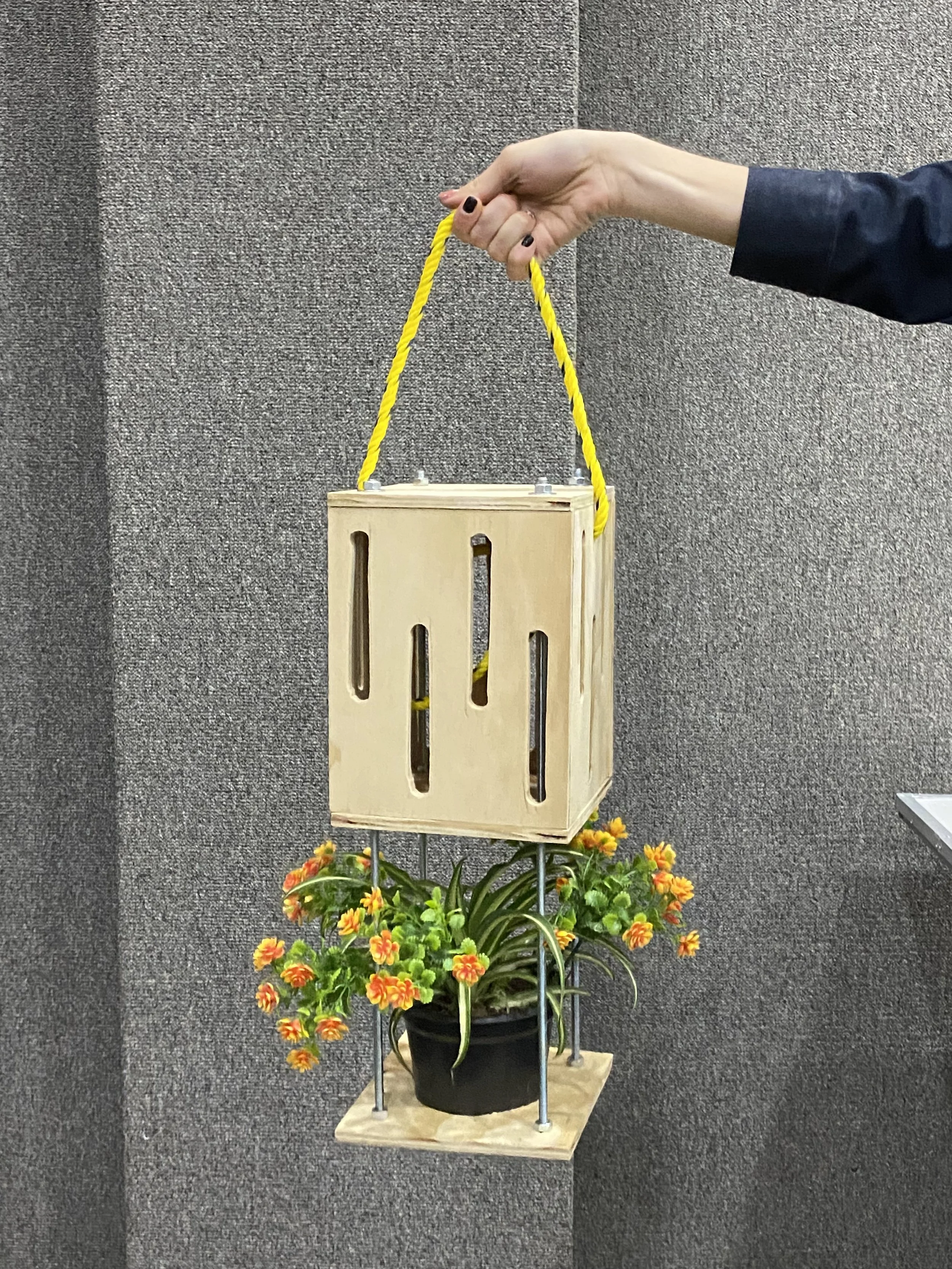 Mano che tiene un cestino di legno sospeso da una corda gialla sopra un vaso di fiori e piante verdi