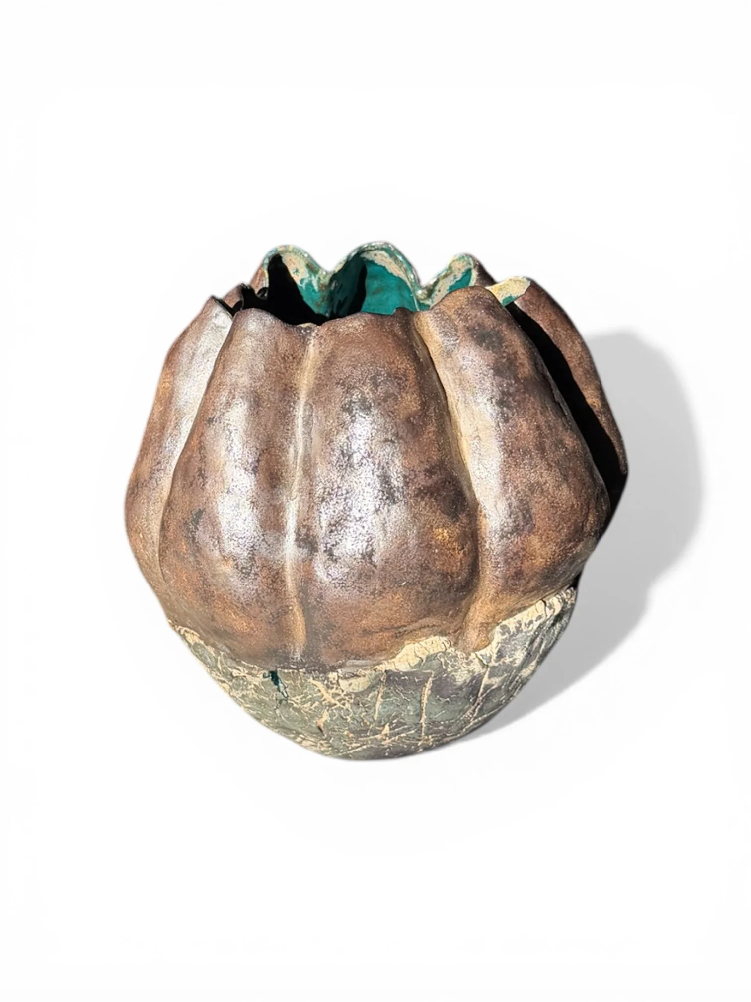 Seed