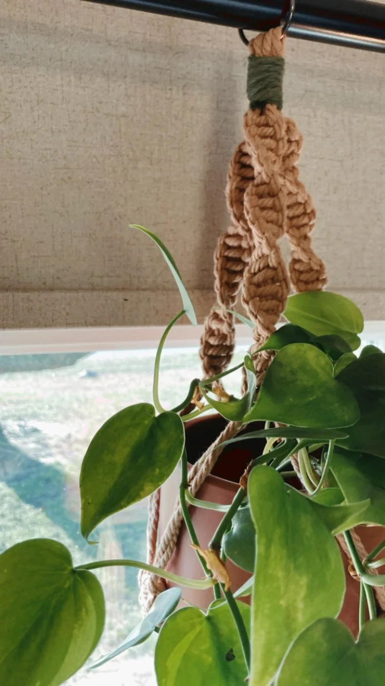 11E4870B-B072-46B7-B2C6-8DC2E7F7742A - Ivy Steel.jpeg