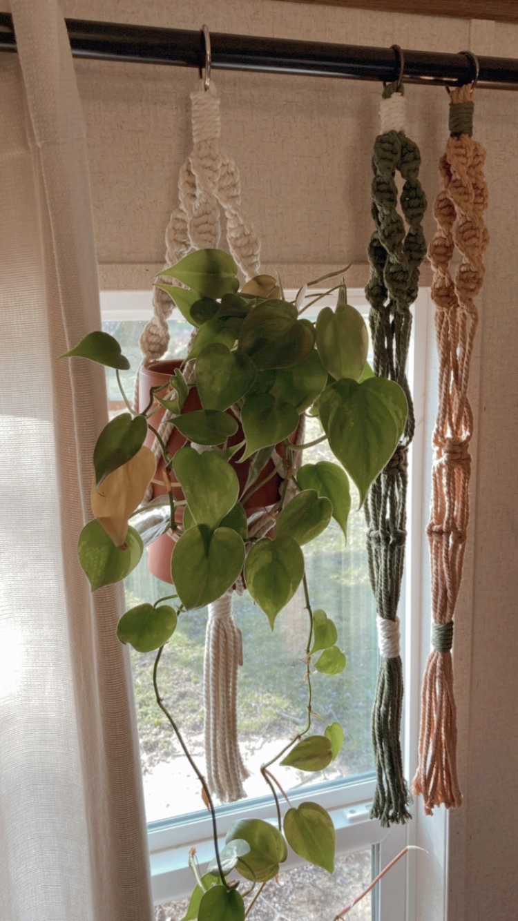 IMG_1718 - Ivy Steel.png