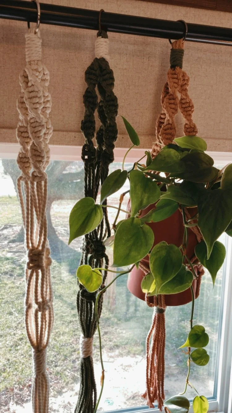 A98685E5-0C35-4CAF-A053-241EDB85161A - Ivy Steel.jpeg