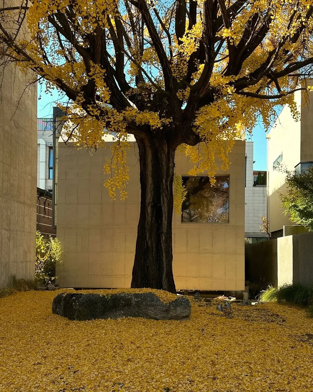 Let it be, then let it go