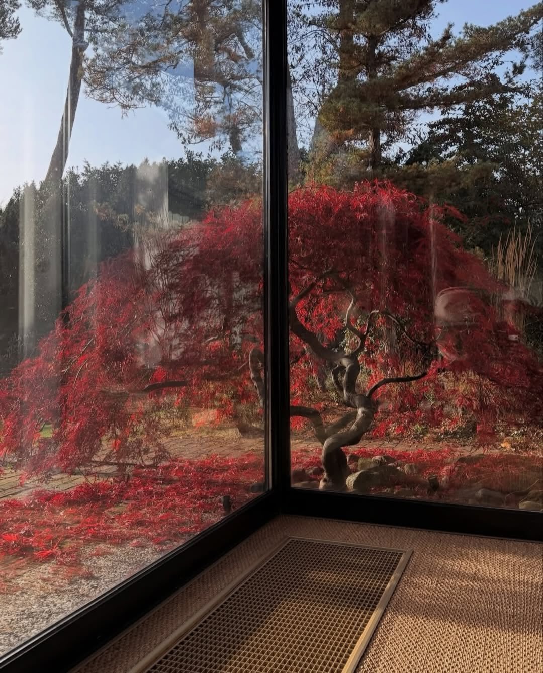 Nothing is impossible to a willing heart