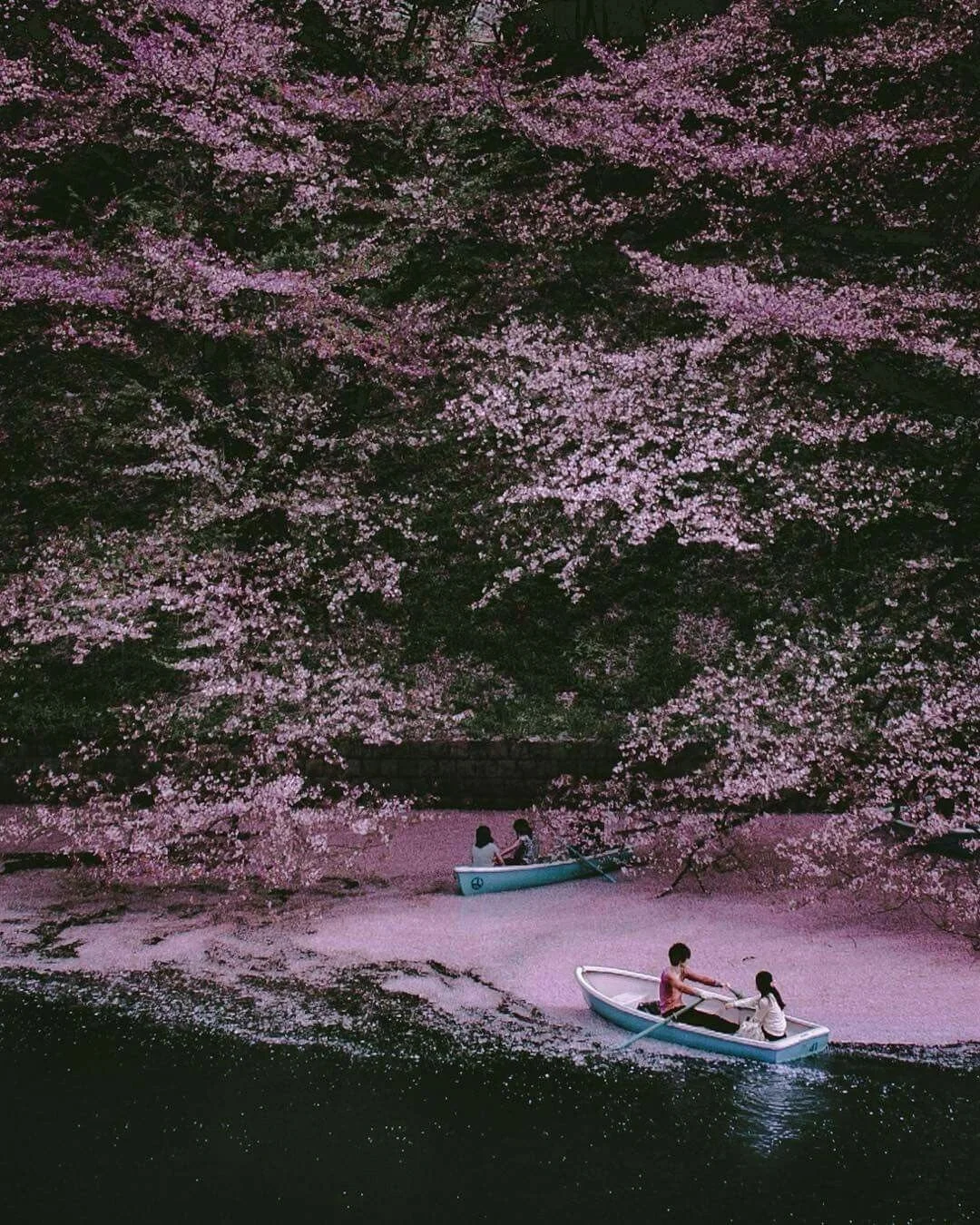 Don&rsquo;t lose this moment searching for another