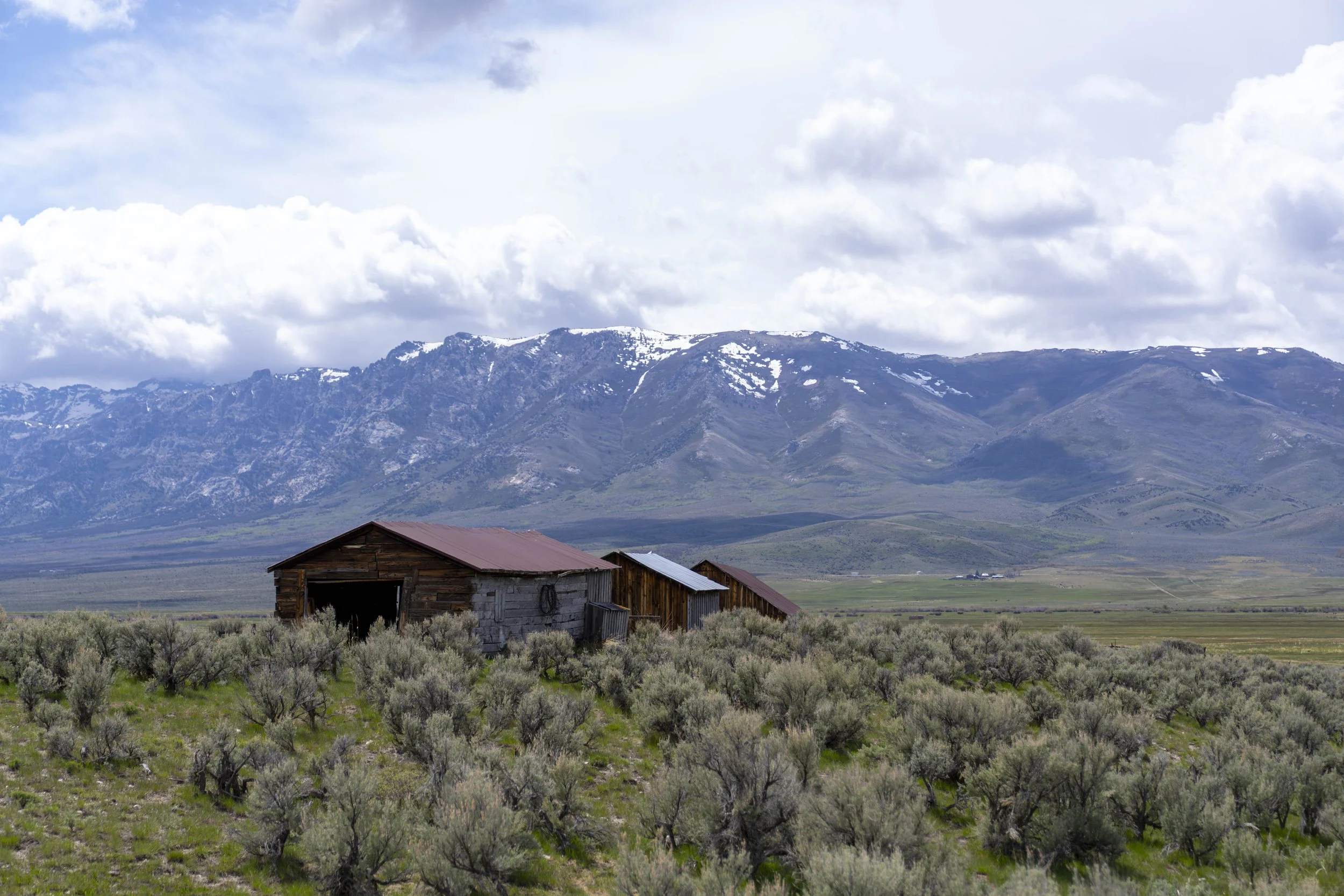 Ely, NV