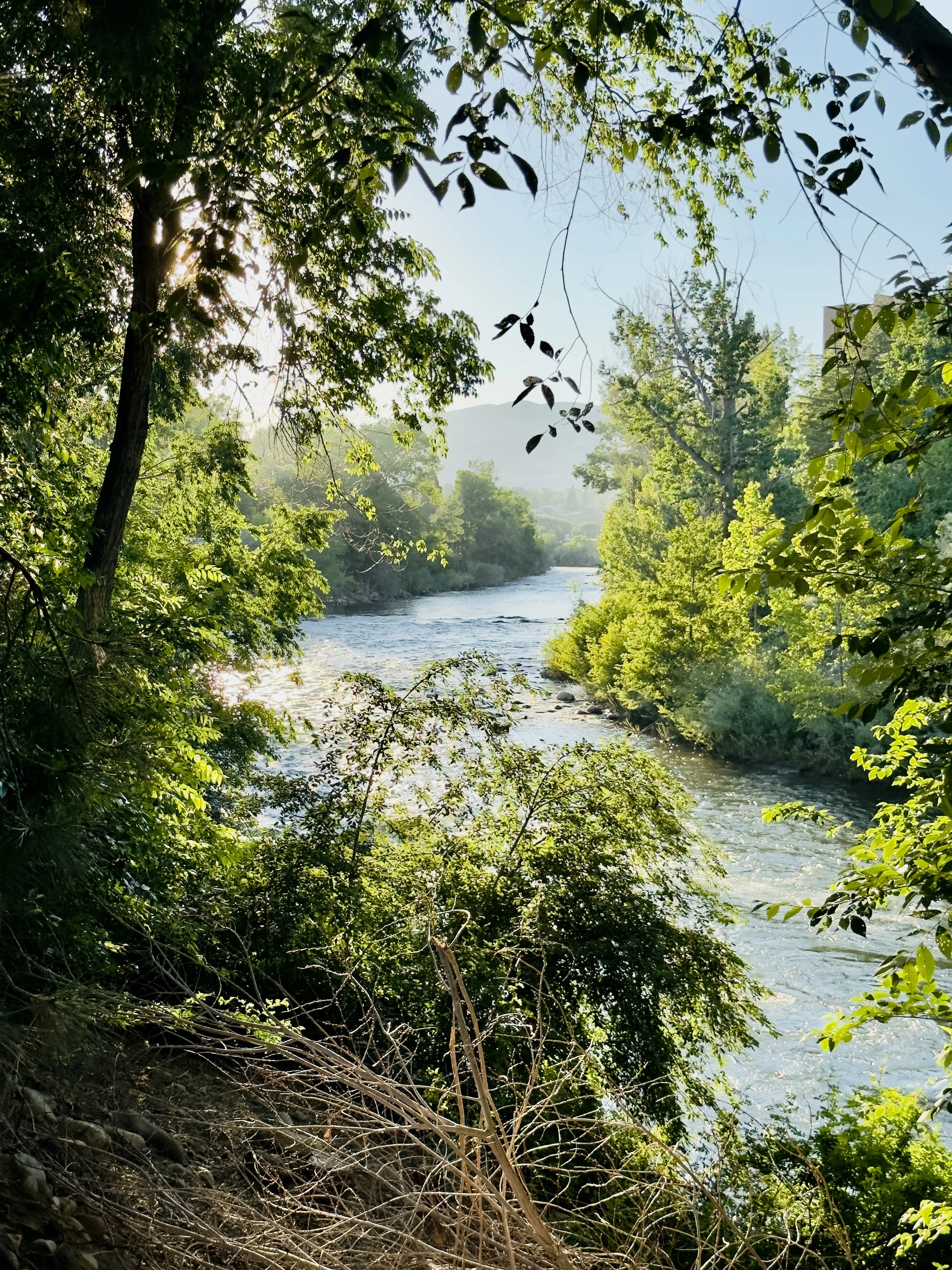 River.jpg