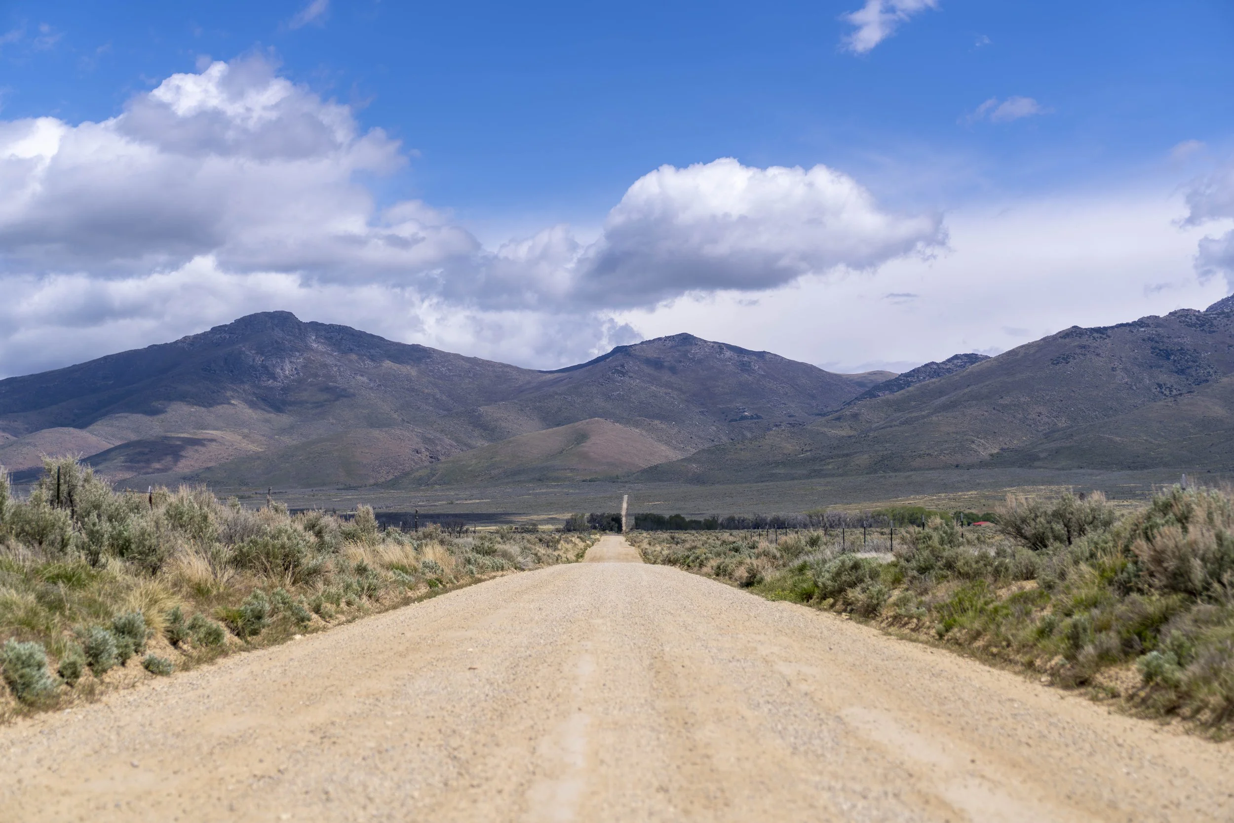 Elko, NV