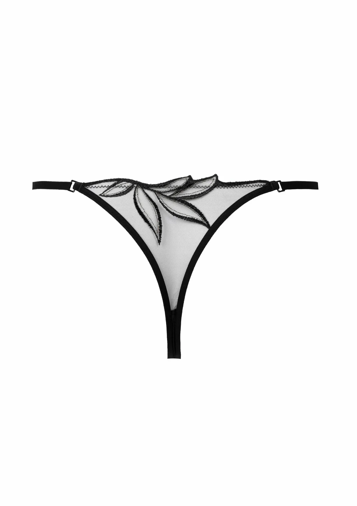 DV_thong_back.webp