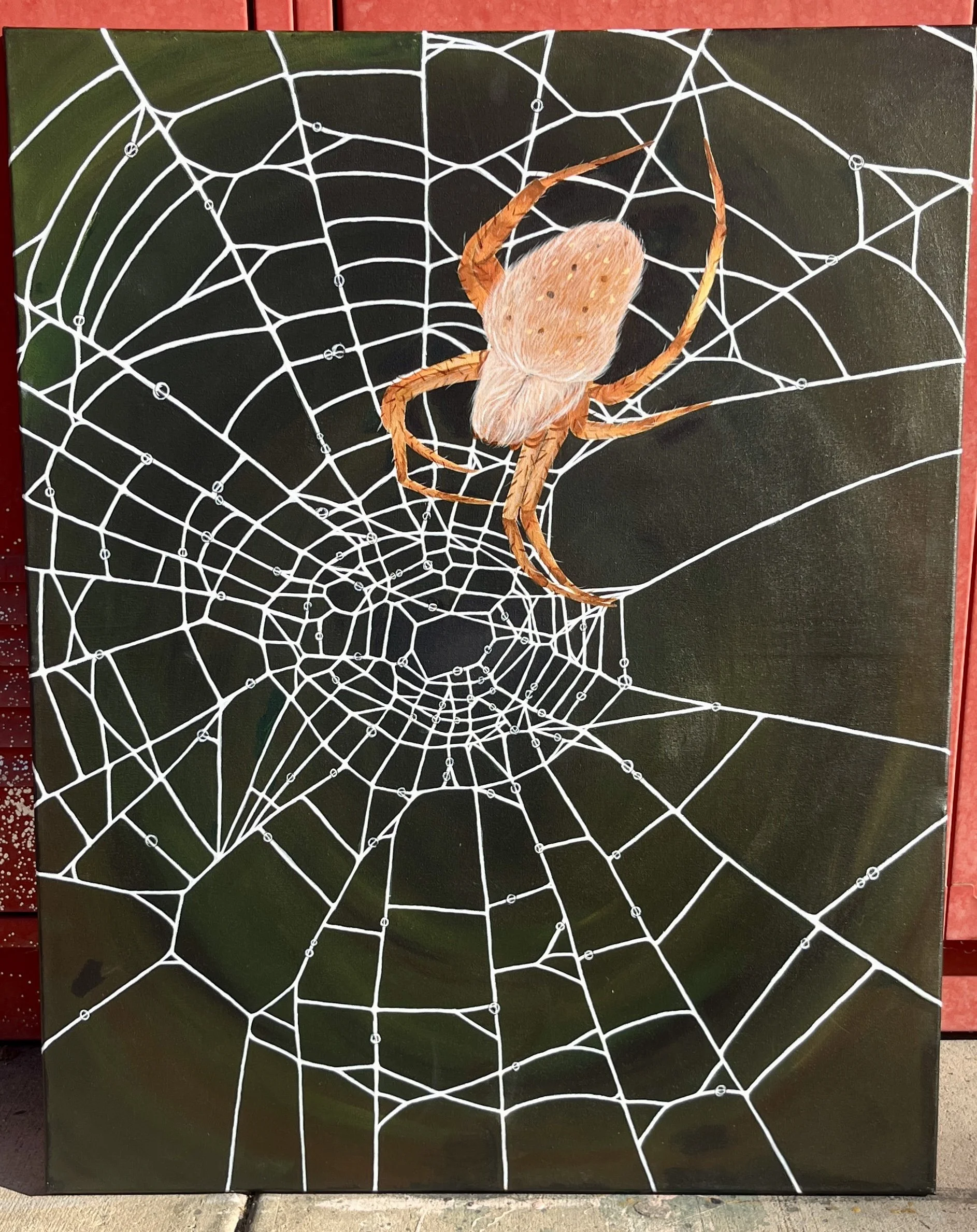 Acrylic painting of an orb weaver spider from 2025, part of a triptych collection of insects.