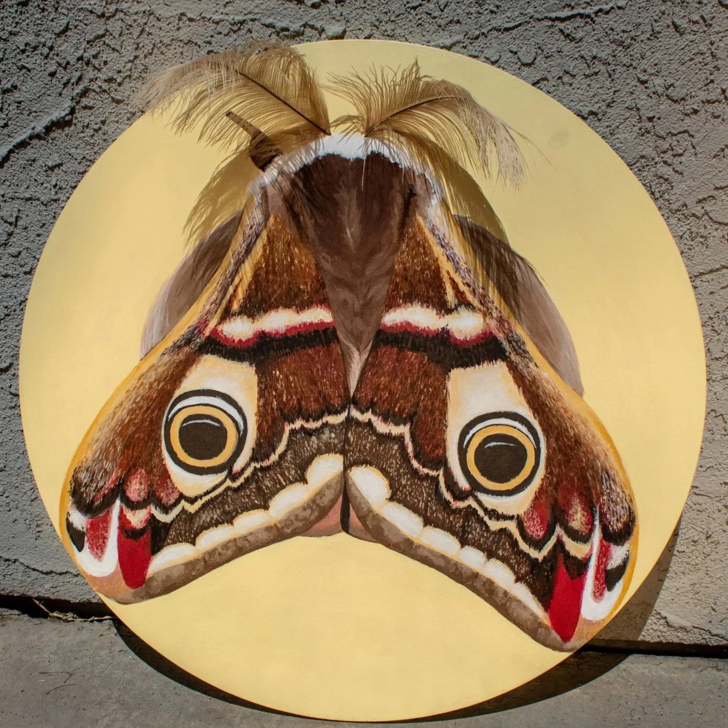 "Intuition" 24-inch acrylic painting of an emperor moth from 2025, the third part of a triptych collection of insects.