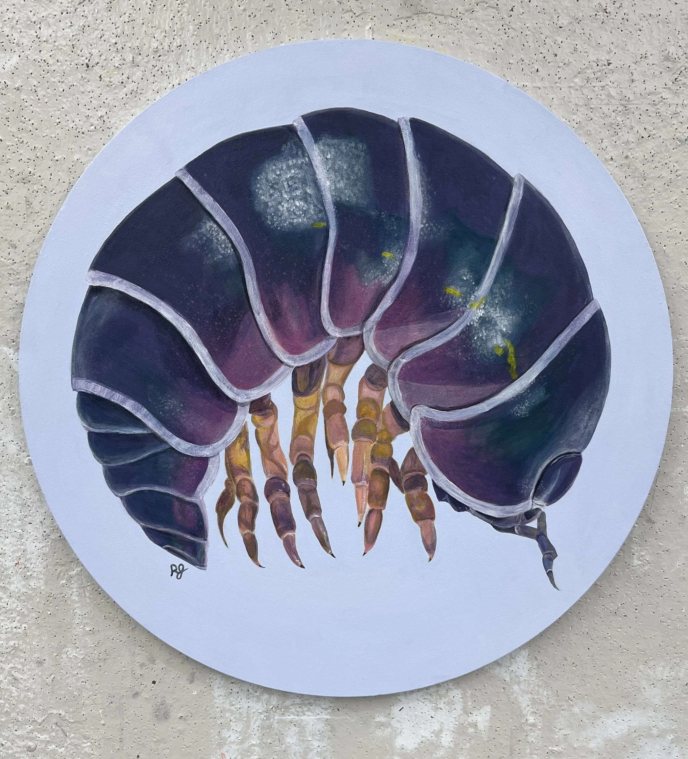 Acrylic painting of a pill bug from 2025, part of a triptych collection of insects.