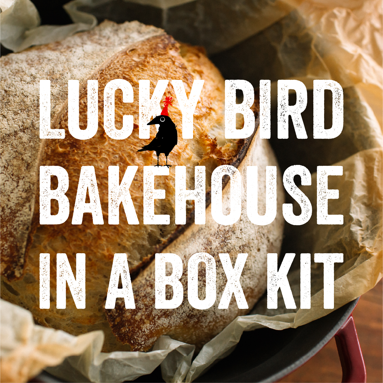 Lucky Bird Bakehouse-in-a-Box Kit