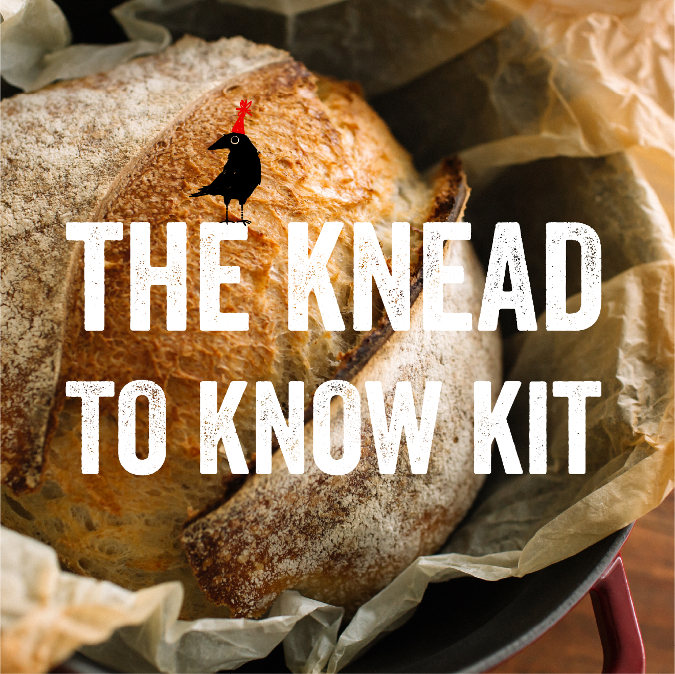 the Knead-to-Know Kit