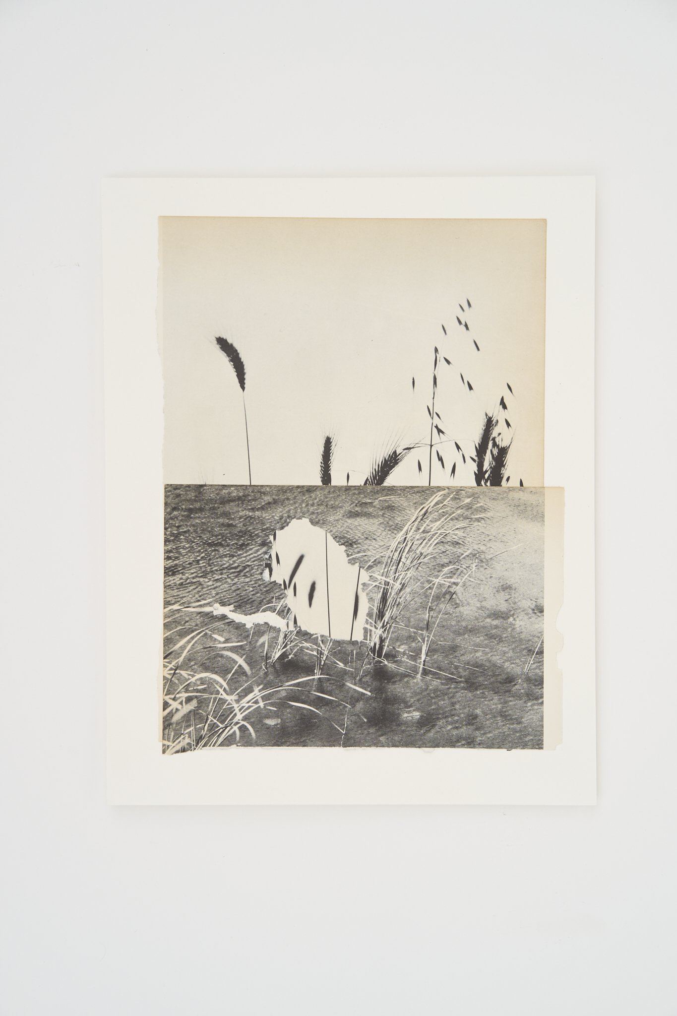 Wheat from Chaff