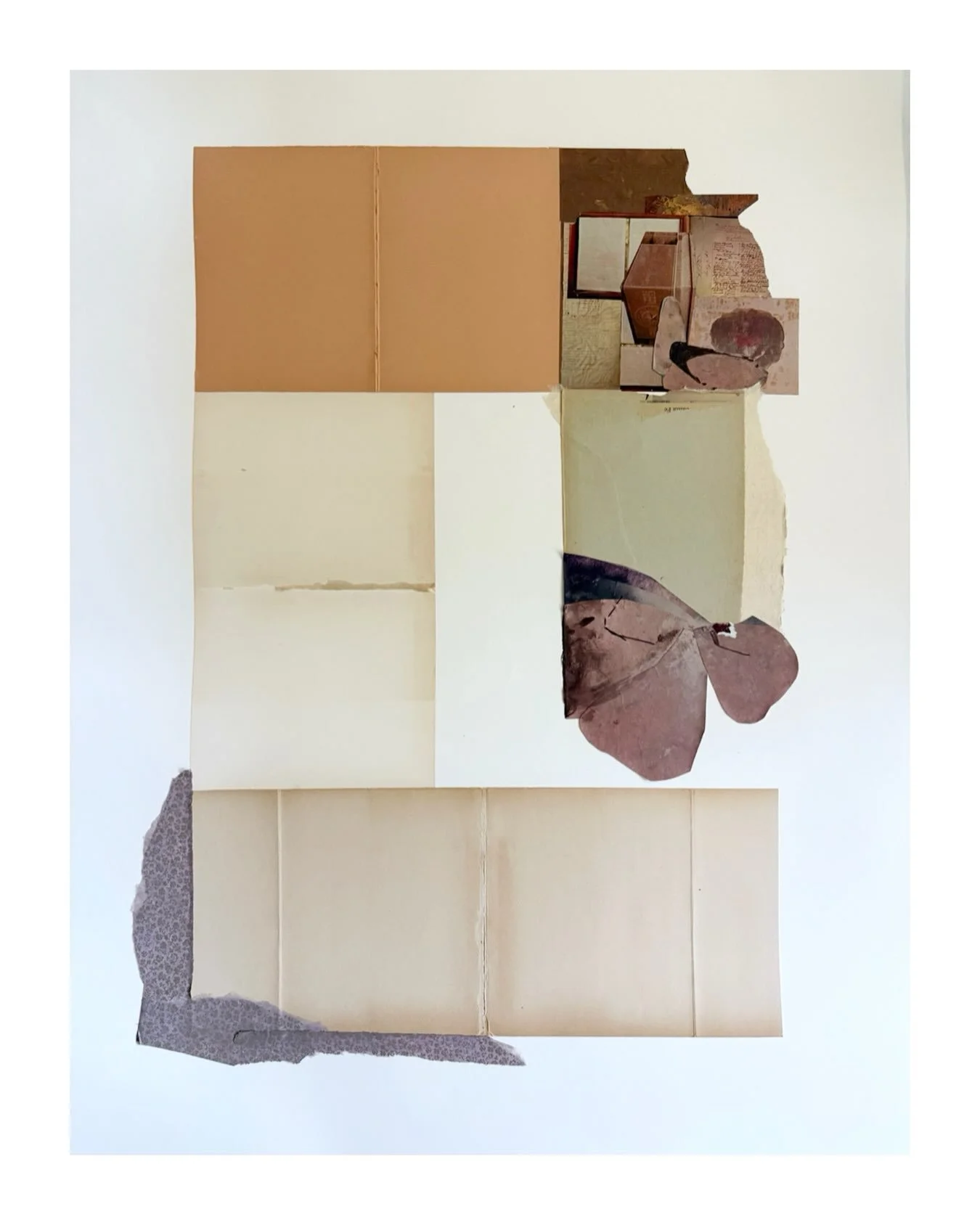 "Softening Around the Edges." Petals meet ninety-degree angles. Their loose curves interrupt the quiet order of measured paper, bringing something tender to a composition built on structure.

I'm drawn to that tension&mdash;the certainty of