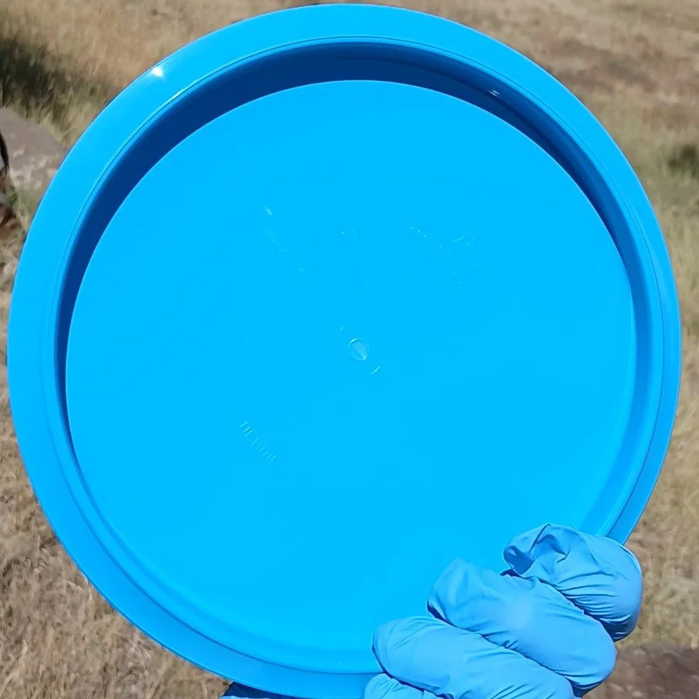 Fuzion_Verdict_blue_blank_midrange_back_view.jpg