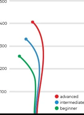 sergeant flight guide by Dynamic Discs.jpg