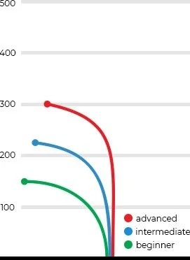 felon flight guide by Dynamic Discs.jpg