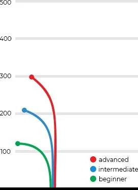 verdict flight guide by Dynamic Discs.jpg