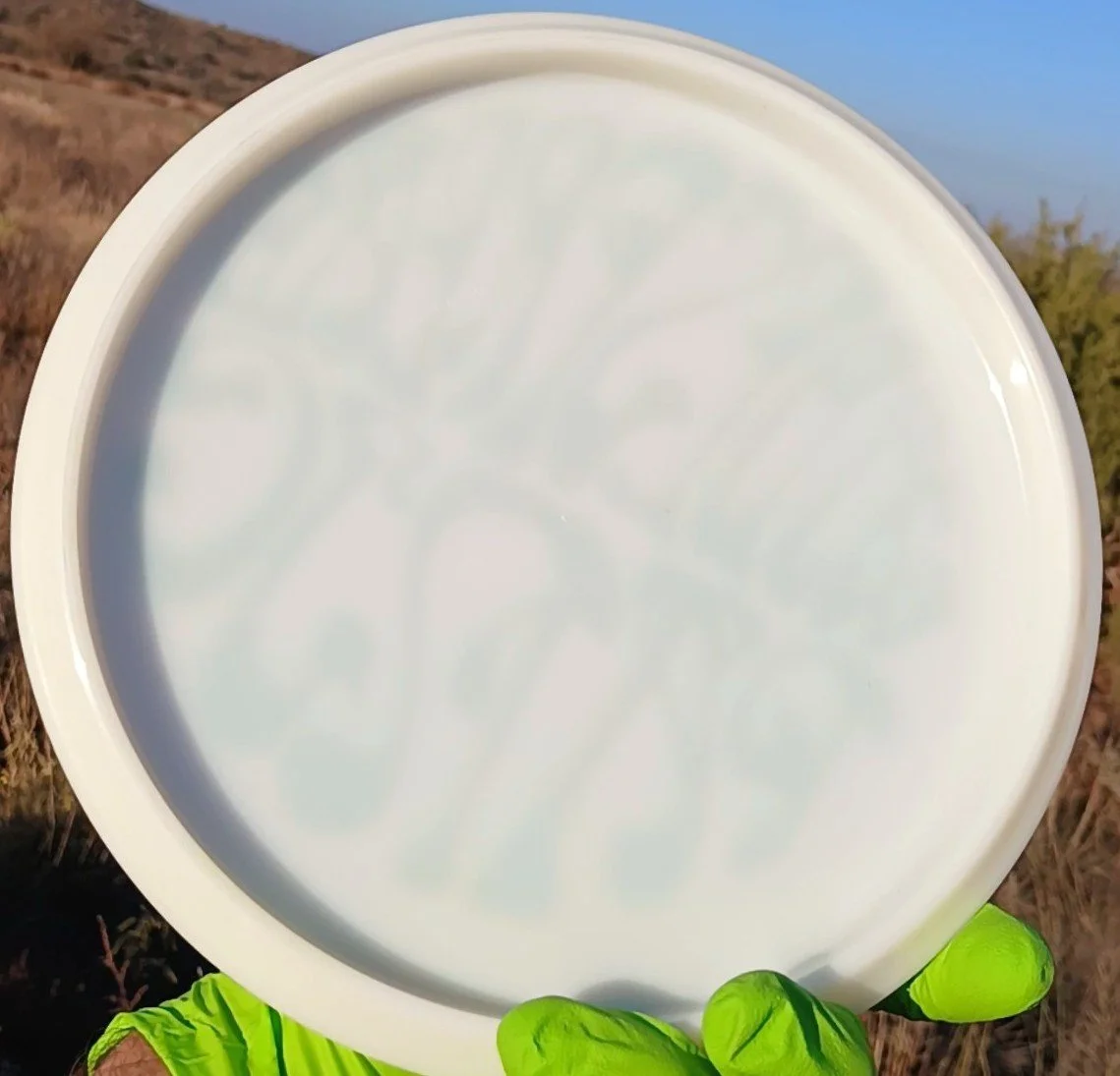 Latitude 64 Gold Line Ice Compass Widespread Panic back.jpg