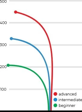 enforcer flight guide by Dynamic Discs.jpg