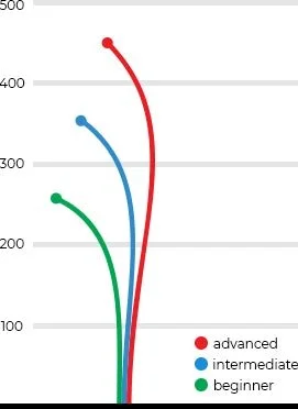 trespass flight guide by Dynamic Discs.jpg