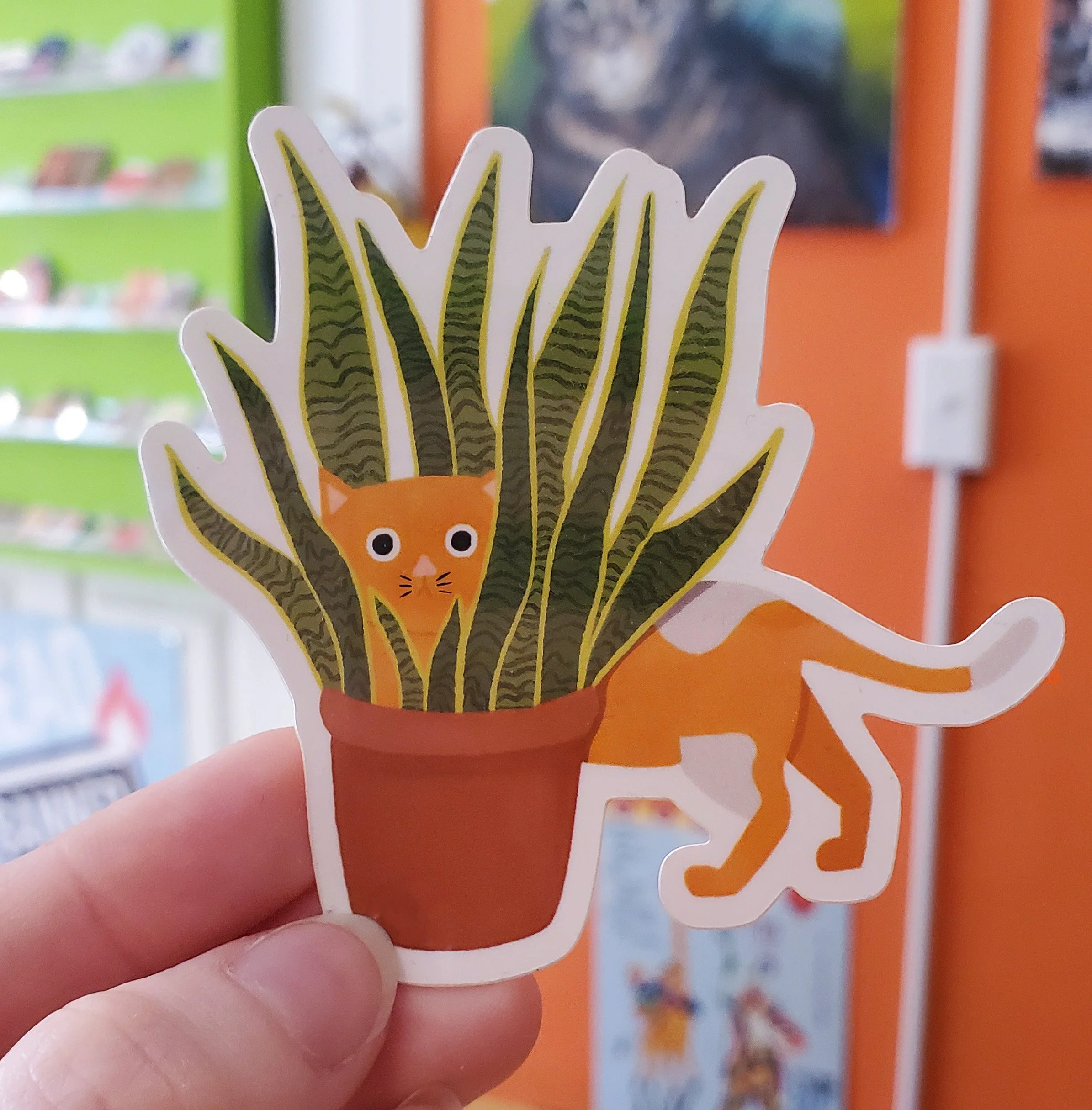Cat plant edit.jpg
