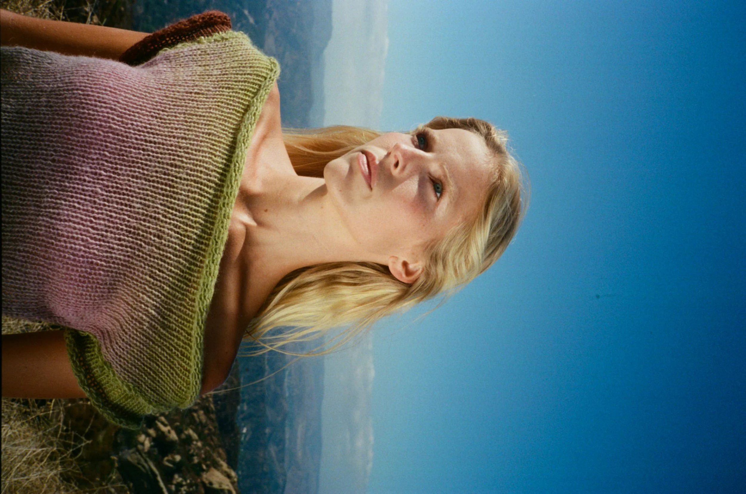 anachronism - topanga-c41-42.jpg