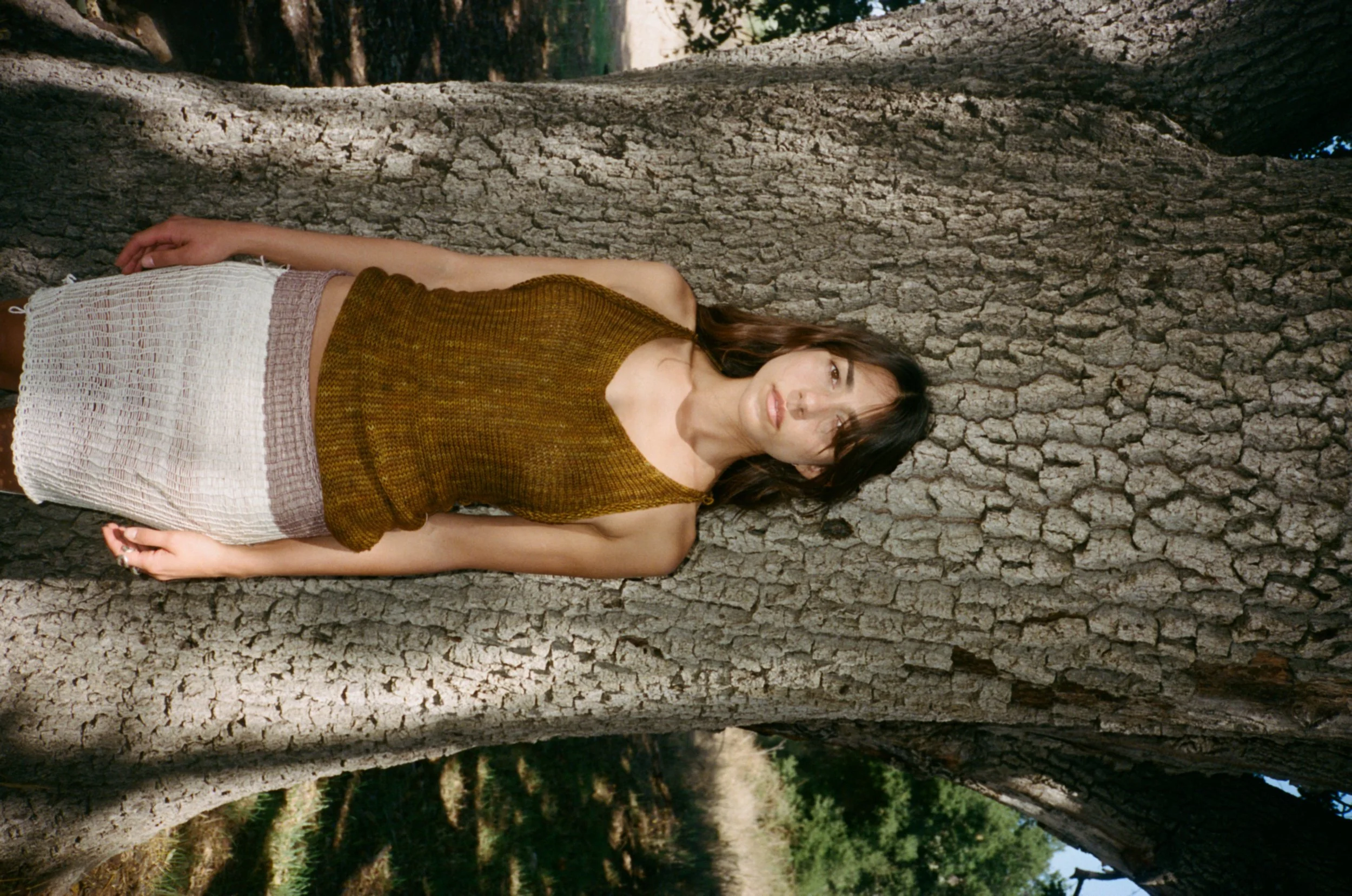 anachronism - topanga-c41-79.jpg