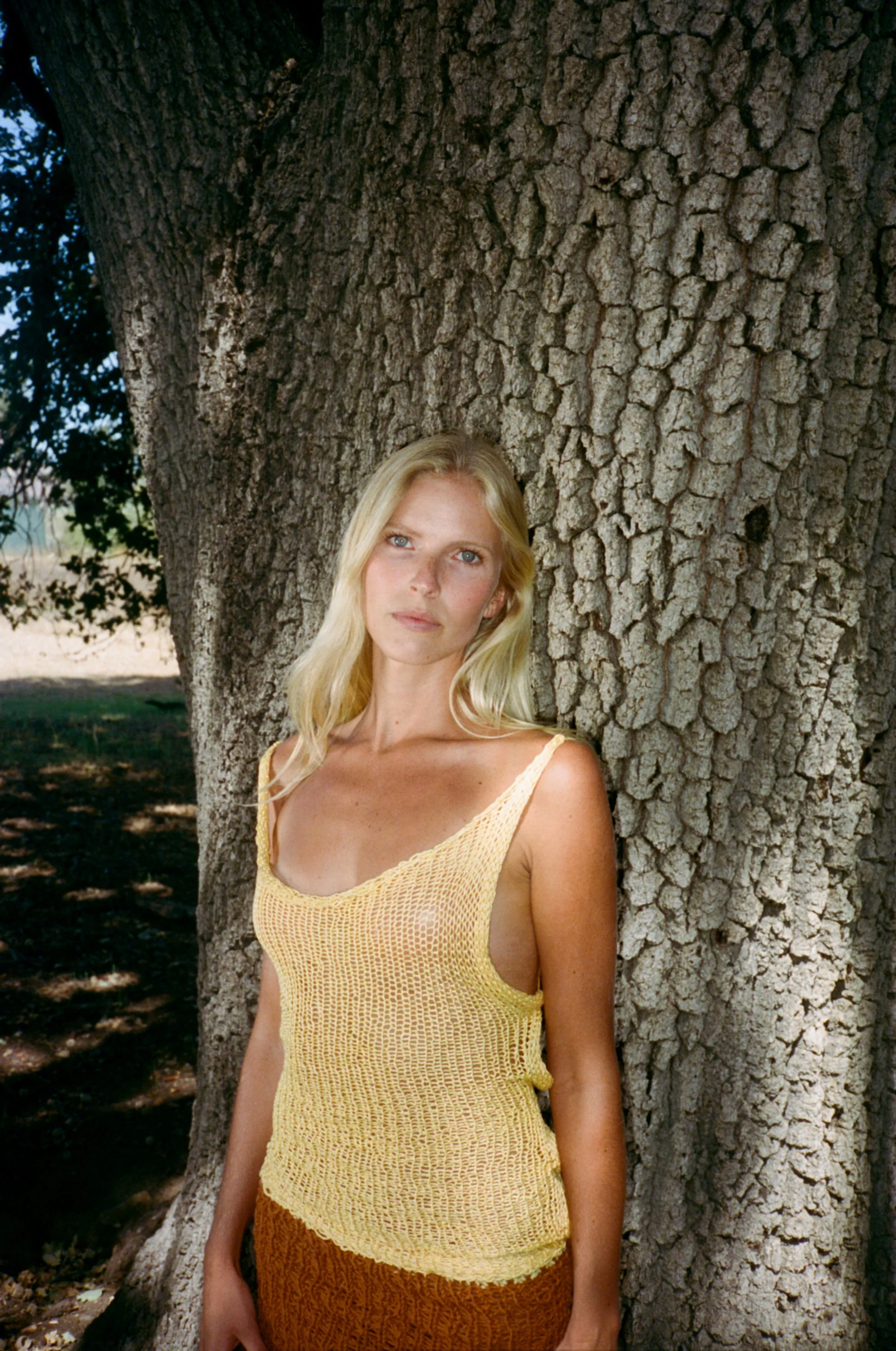 The Daisy