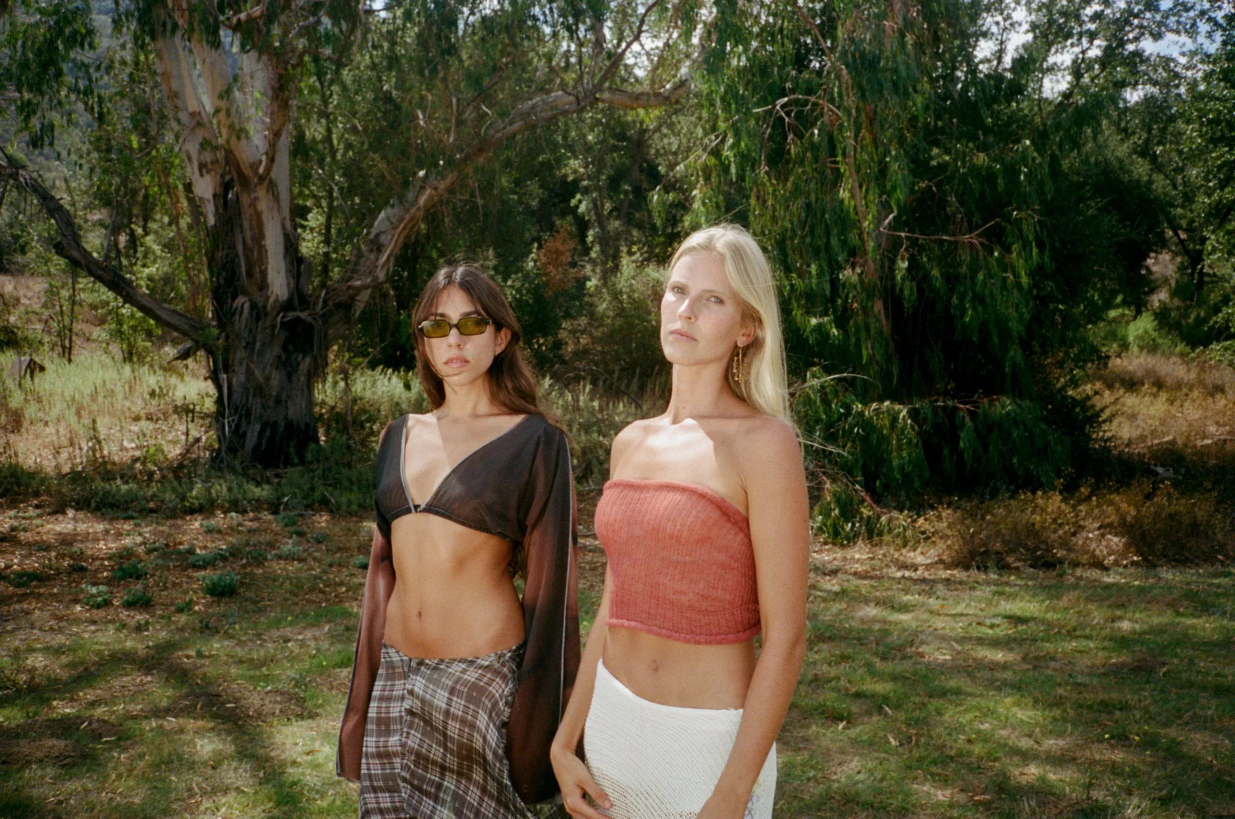 anachronism - topanga-c41-90.jpg