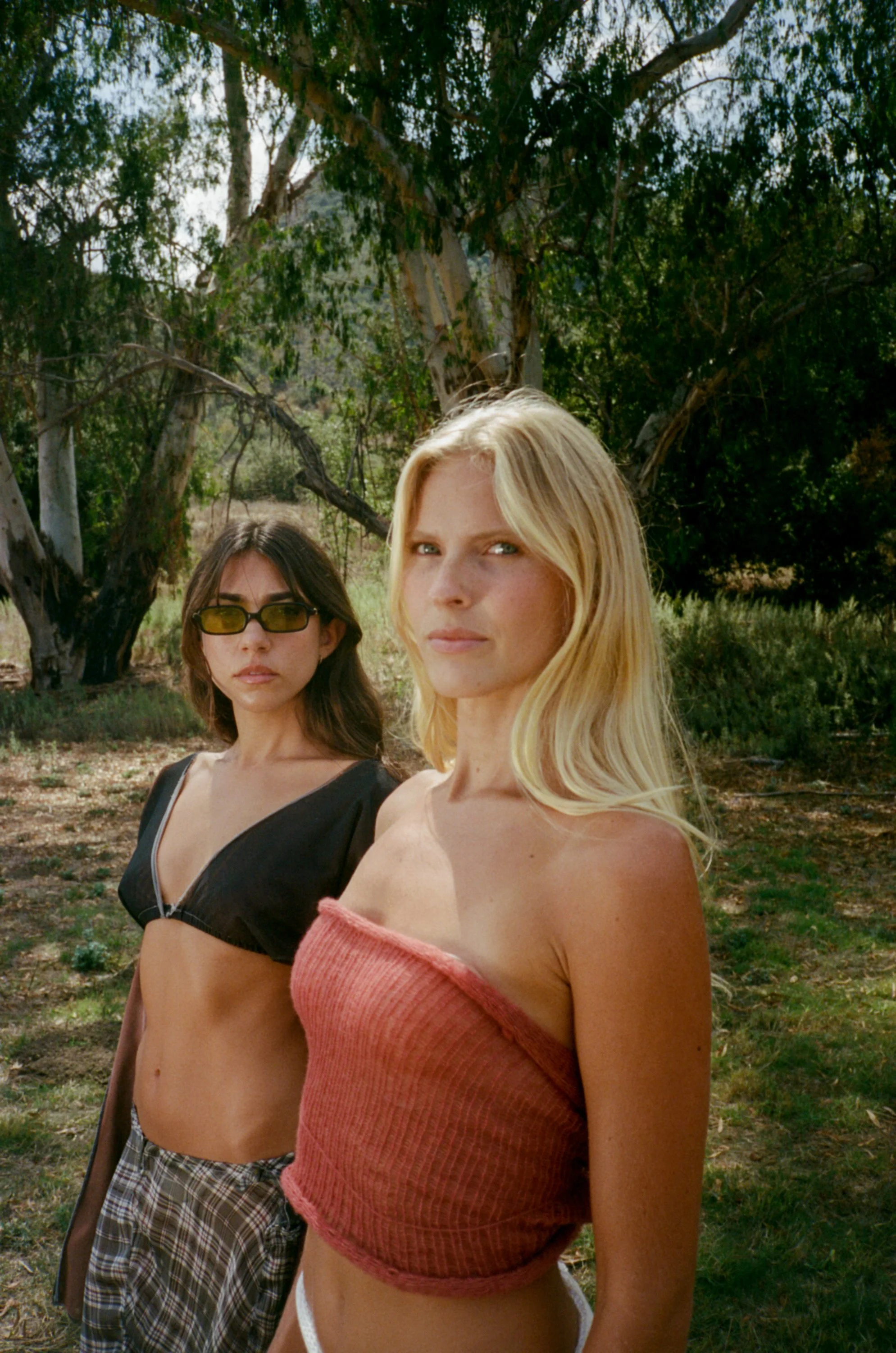 anachronism - topanga-c41-88.jpg