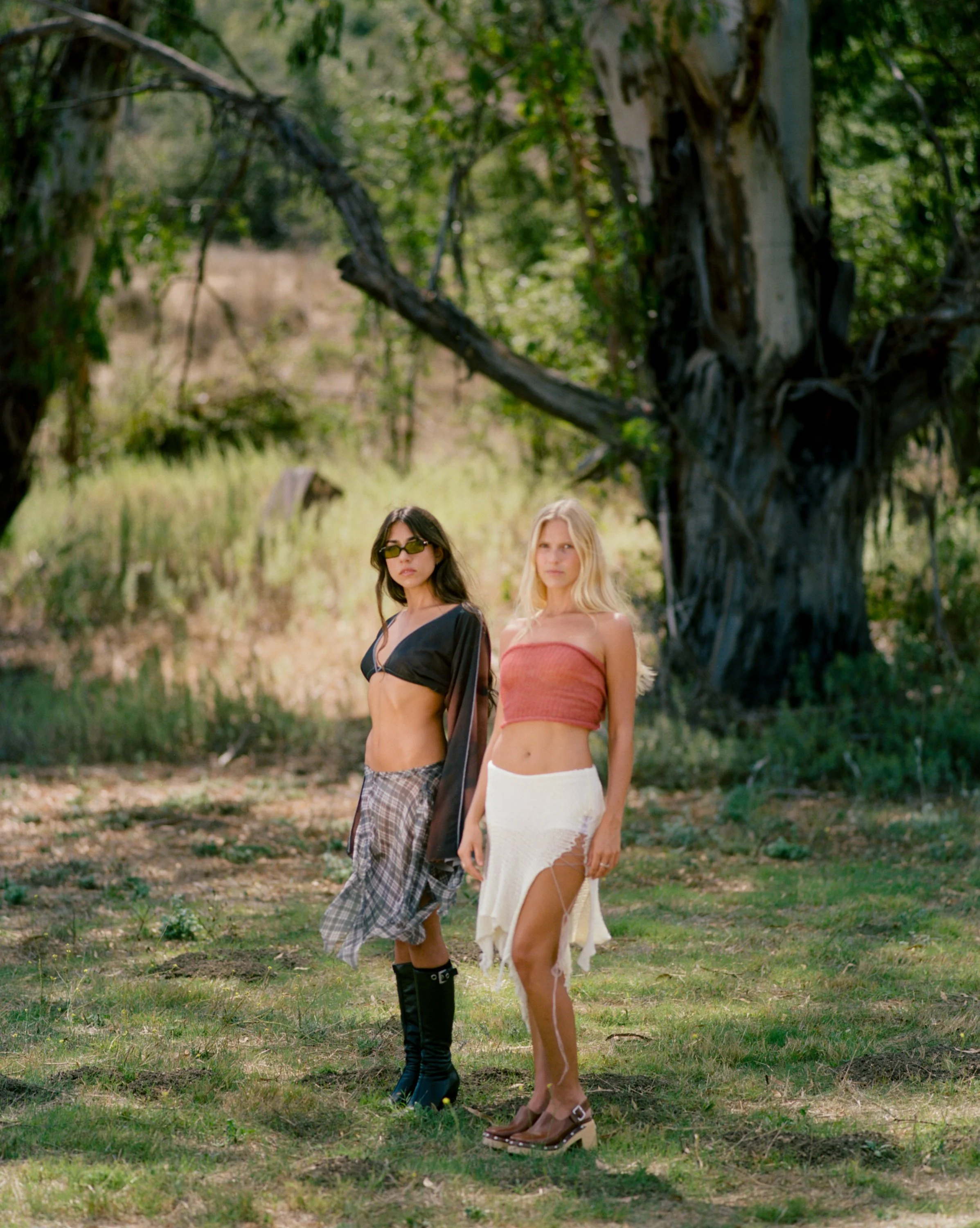 anachronism - topanga-c41-16.jpg