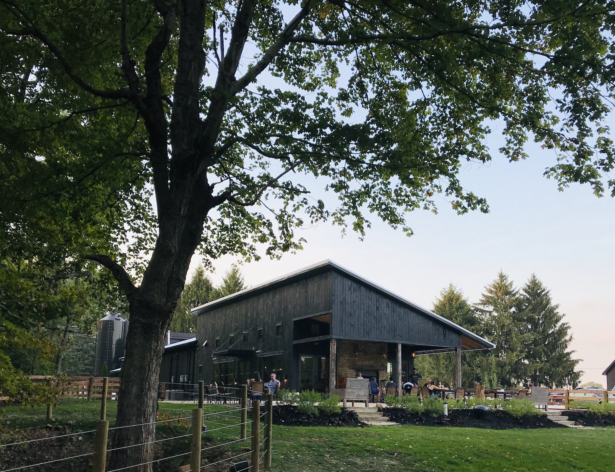 Exterior view of a modern building with a large tree in the foreground, people sitting outside on a patio, and a clear blue sky.