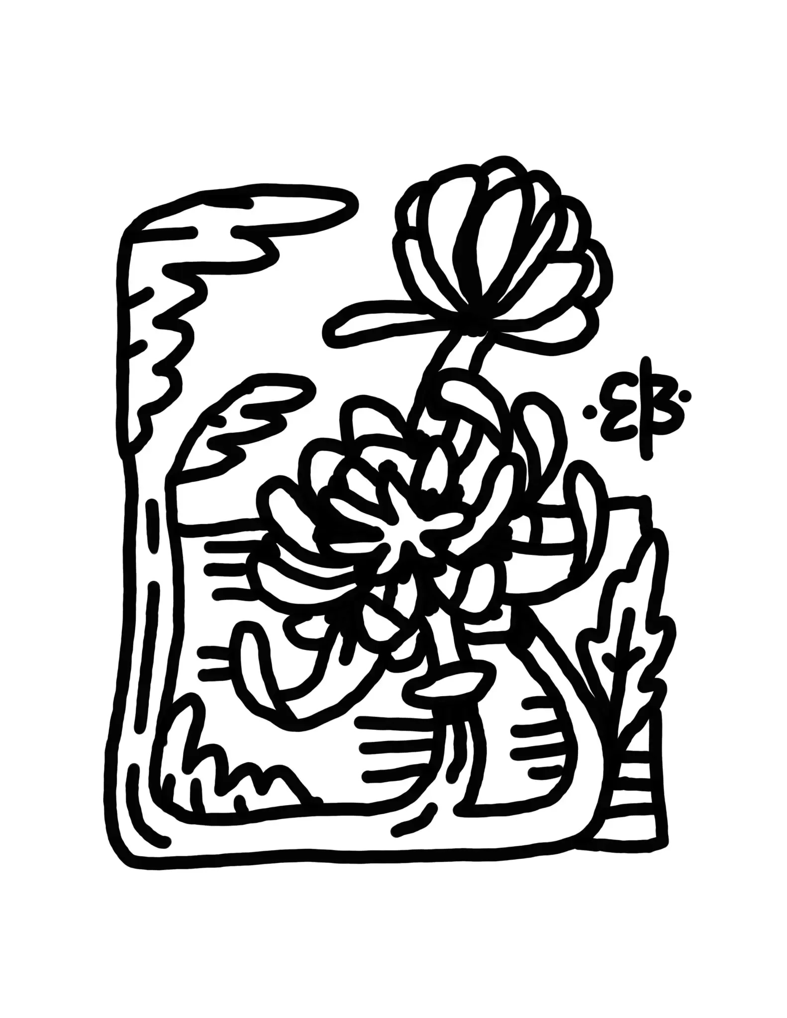 jpeg-1.webp
