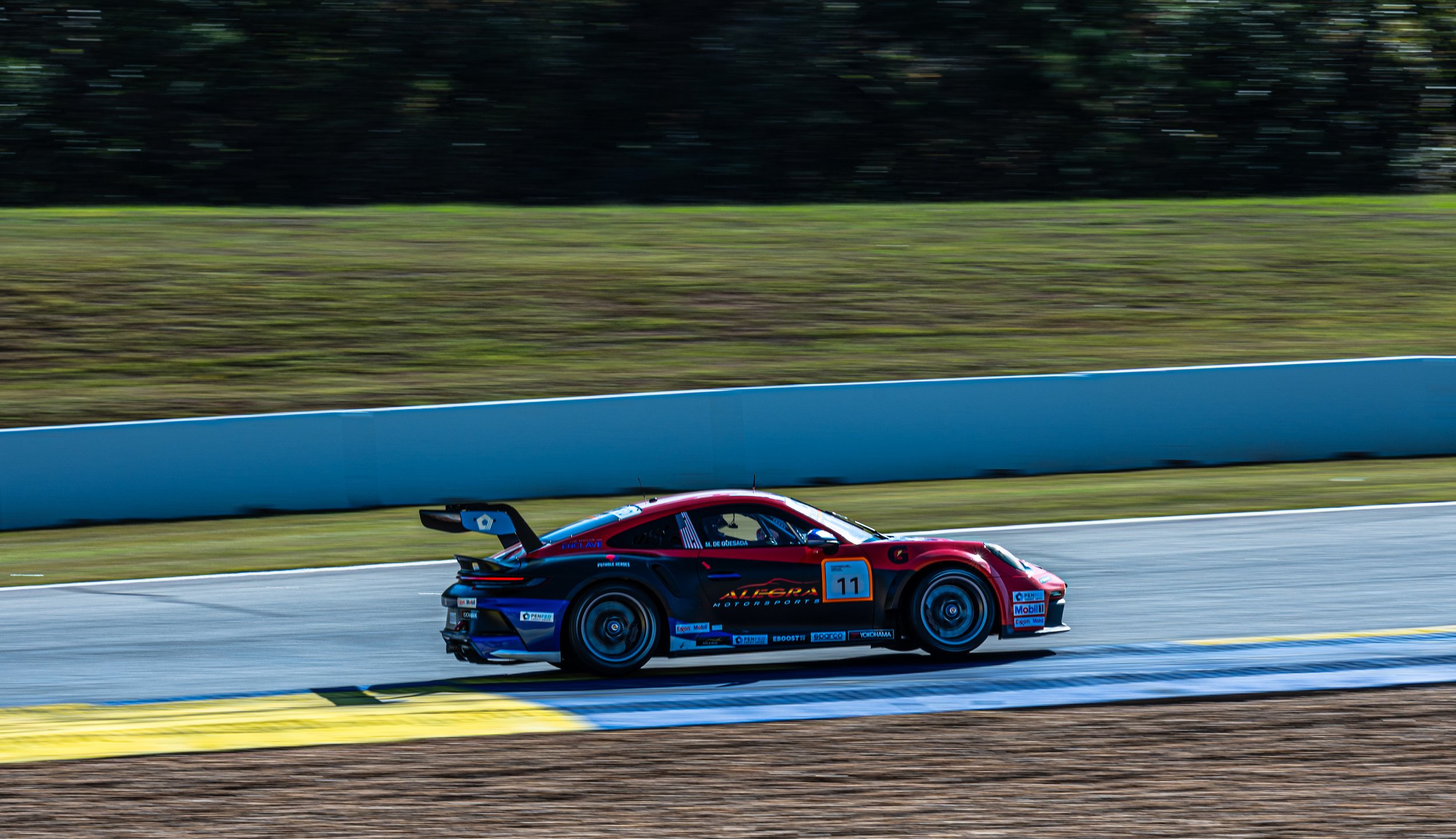 PetitLeMans-248.jpg