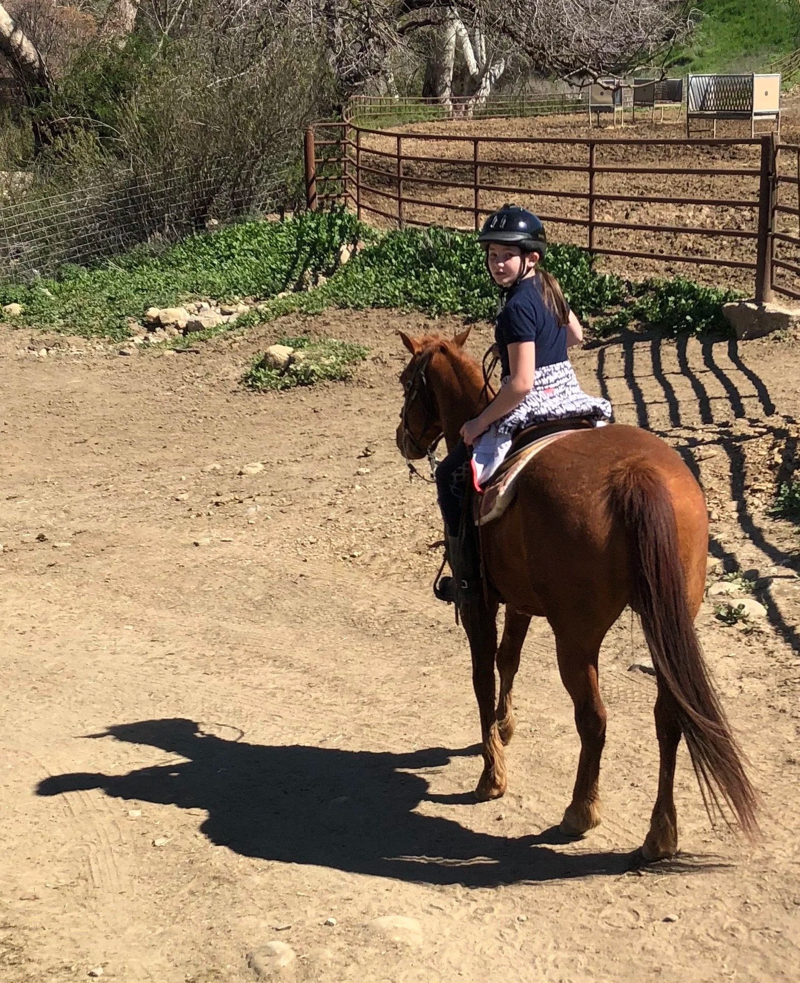 Annika & Rio @Alisal Ranch (CA), 2018
📸Elsebeth Hansen-Kriening