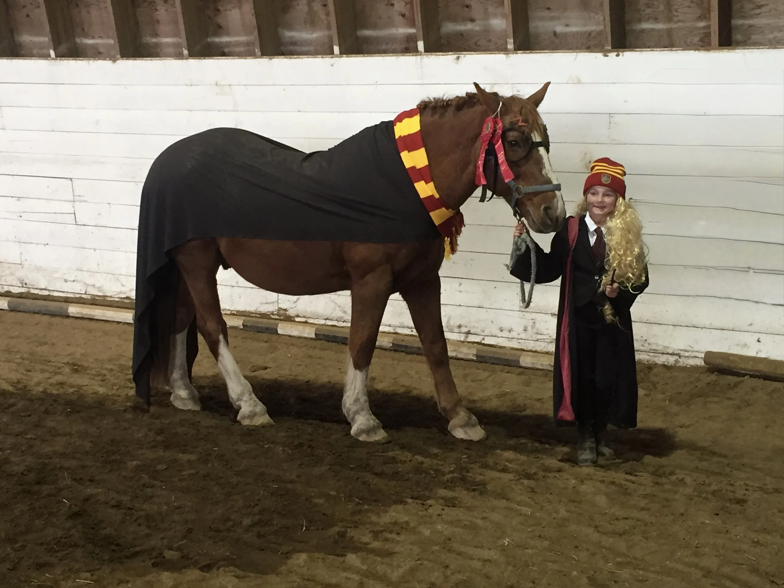 Annika & Stanley @Meadow Green Stables (MB), 2015
📸Elsebeth Hansen-Kriening