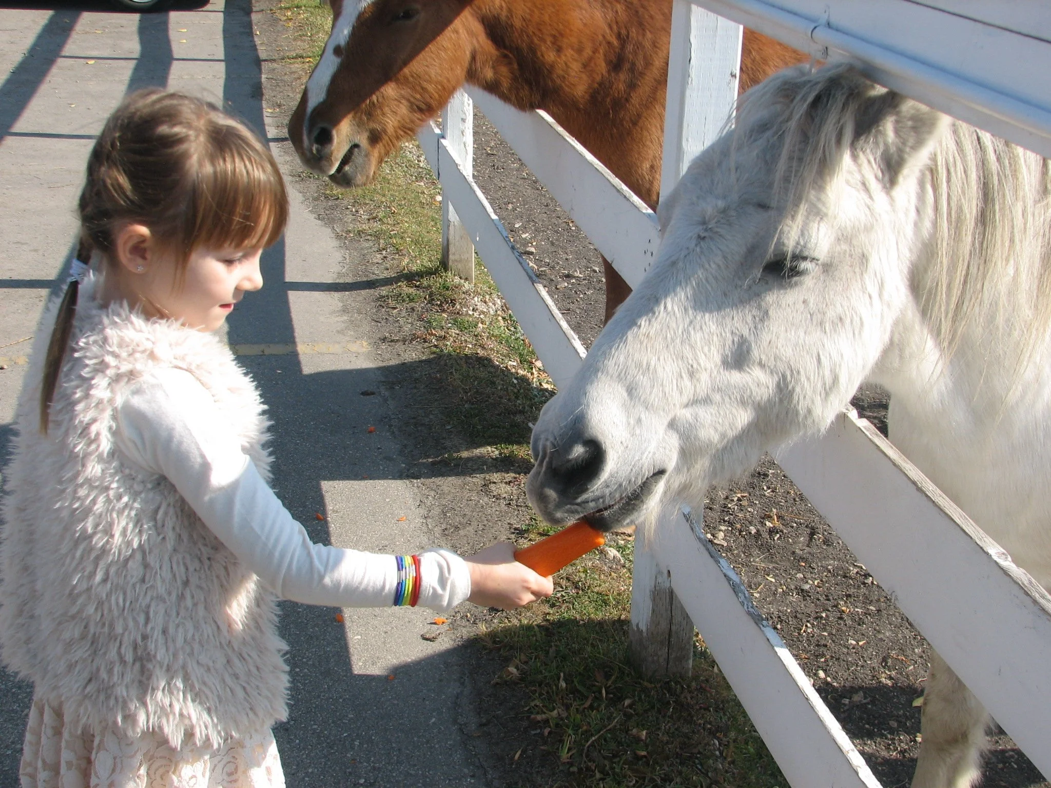 Annika & the Ponies @The Gates on Roblin (MB), 2012
📸Elsebeth Hansen-Kriening