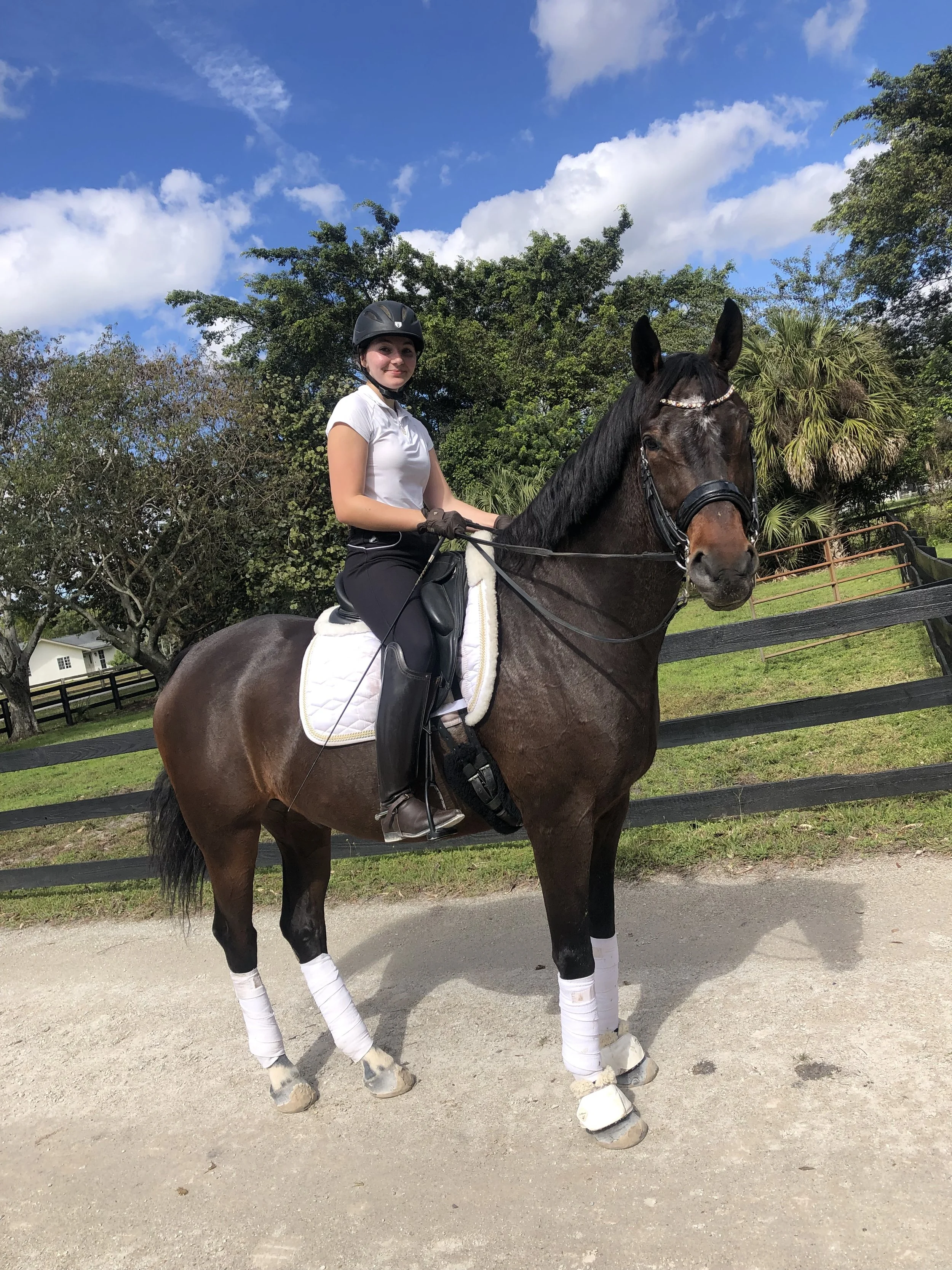Annika & Leo @Halvorsrød Farm (FL), 2022
📸Elsebeth Hansen-Kriening
