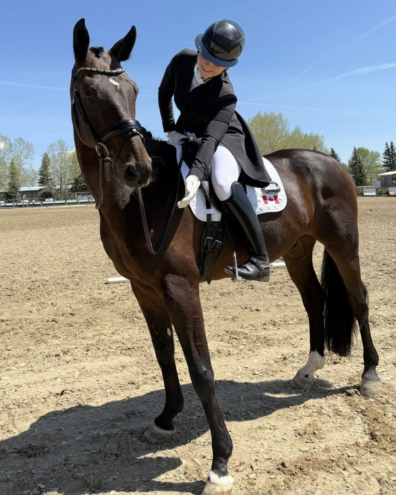 Annika & Fetti @Rocky Mountain Show Park (AB), 2025
📸Elsebeth Hansen-Kriening