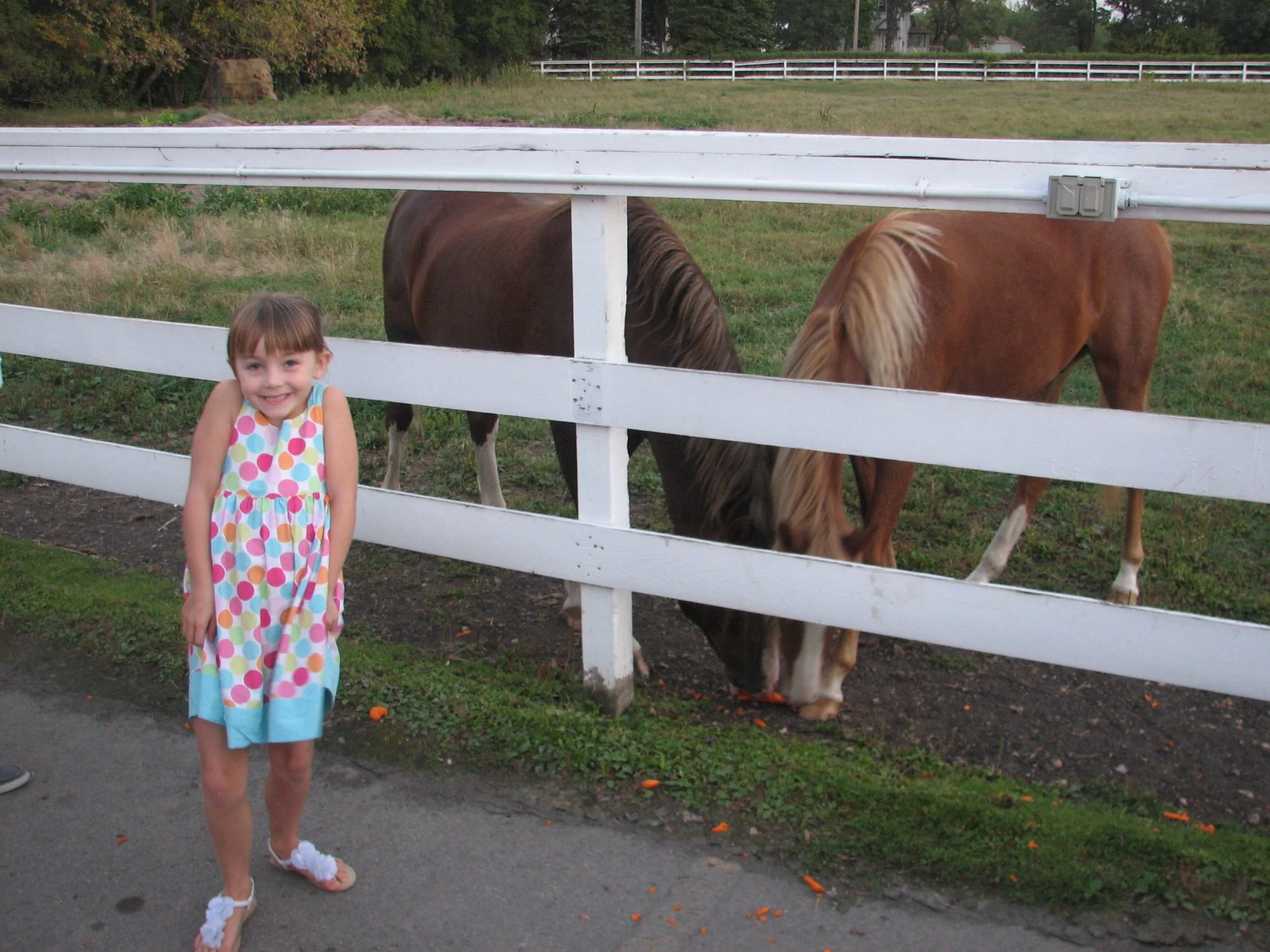 Annika & the Ponies @The Gates on Roblin (MB), 2012
📸Elsebeth Hansen-Kriening